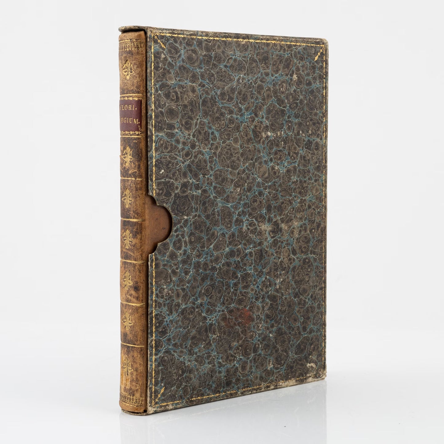 Johann Theodor de Bry and Matteus Merian - Florilegium renovatum et auctum: Das ist Vernewertes und vermehrtes Blumenbuch