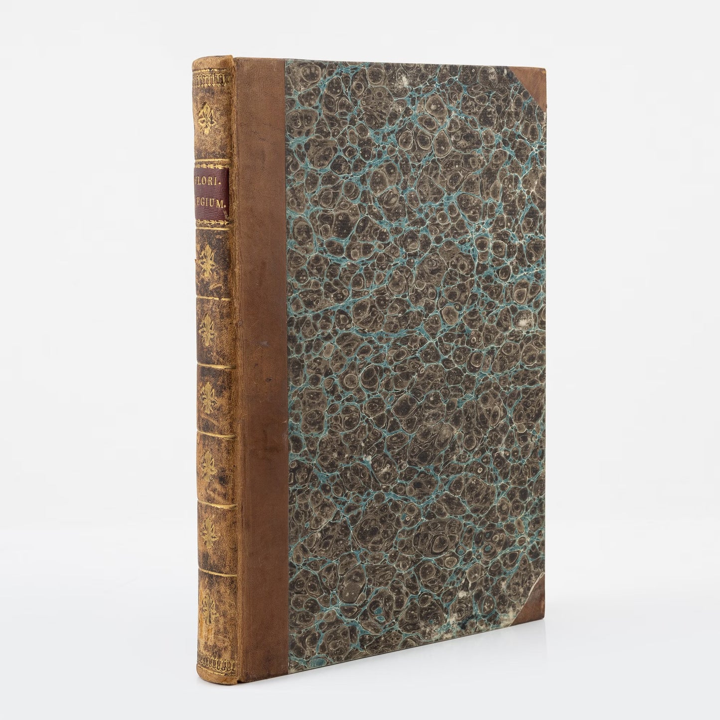 Johann Theodor de Bry and Matteus Merian - Florilegium renovatum et auctum: Das ist Vernewertes und vermehrtes Blumenbuch