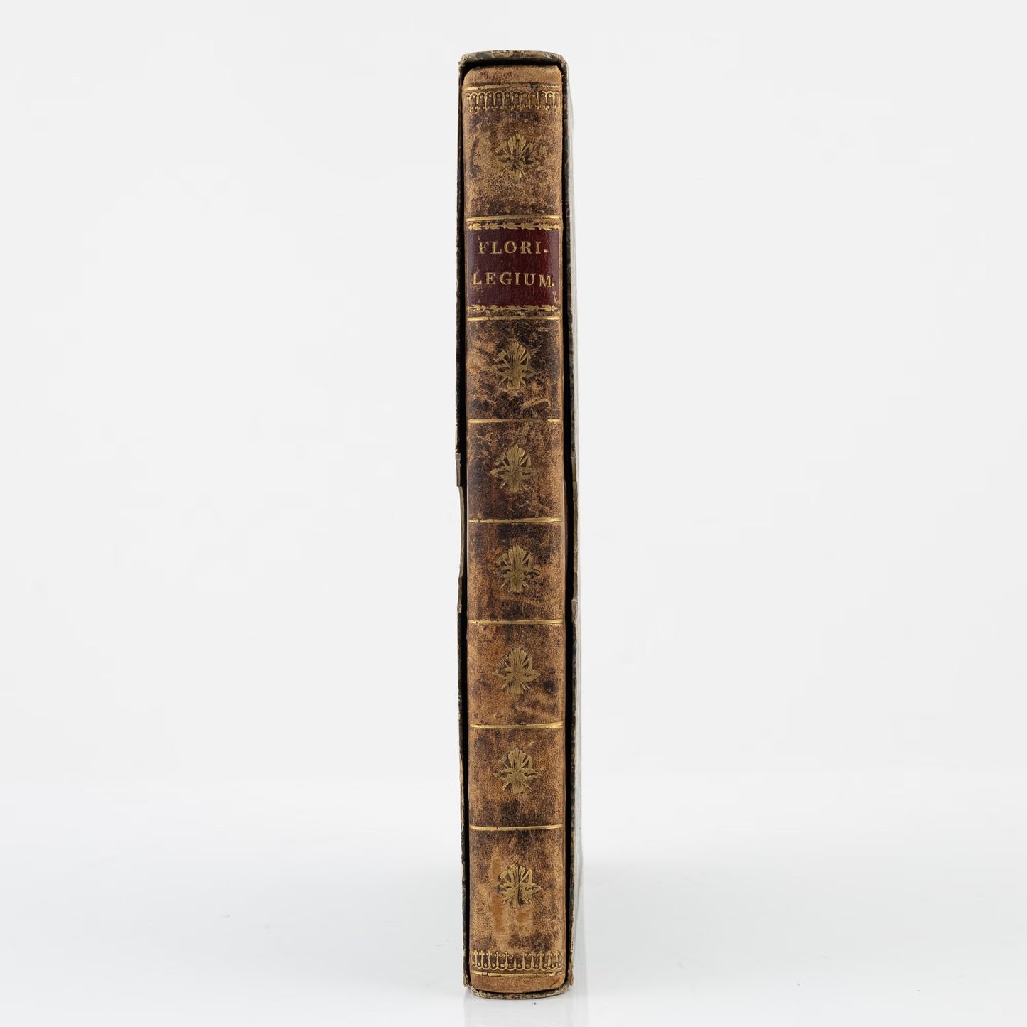 Johann Theodor de Bry and Matteus Merian - Florilegium renovatum et auctum: Das ist Vernewertes und vermehrtes Blumenbuch
