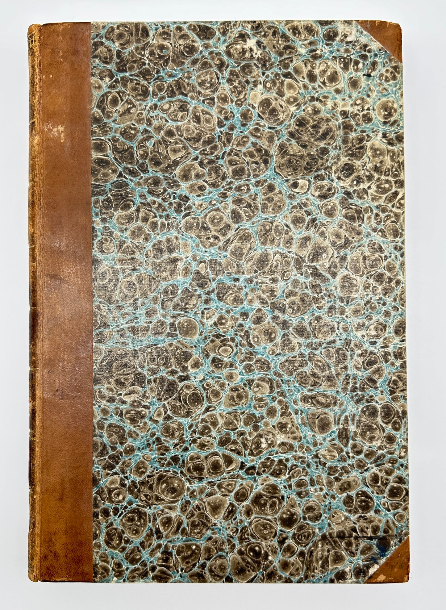 Johann Theodor de Bry and Matteus Merian - Florilegium renovatum et auctum: Das ist Vernewertes und vermehrtes Blumenbuch