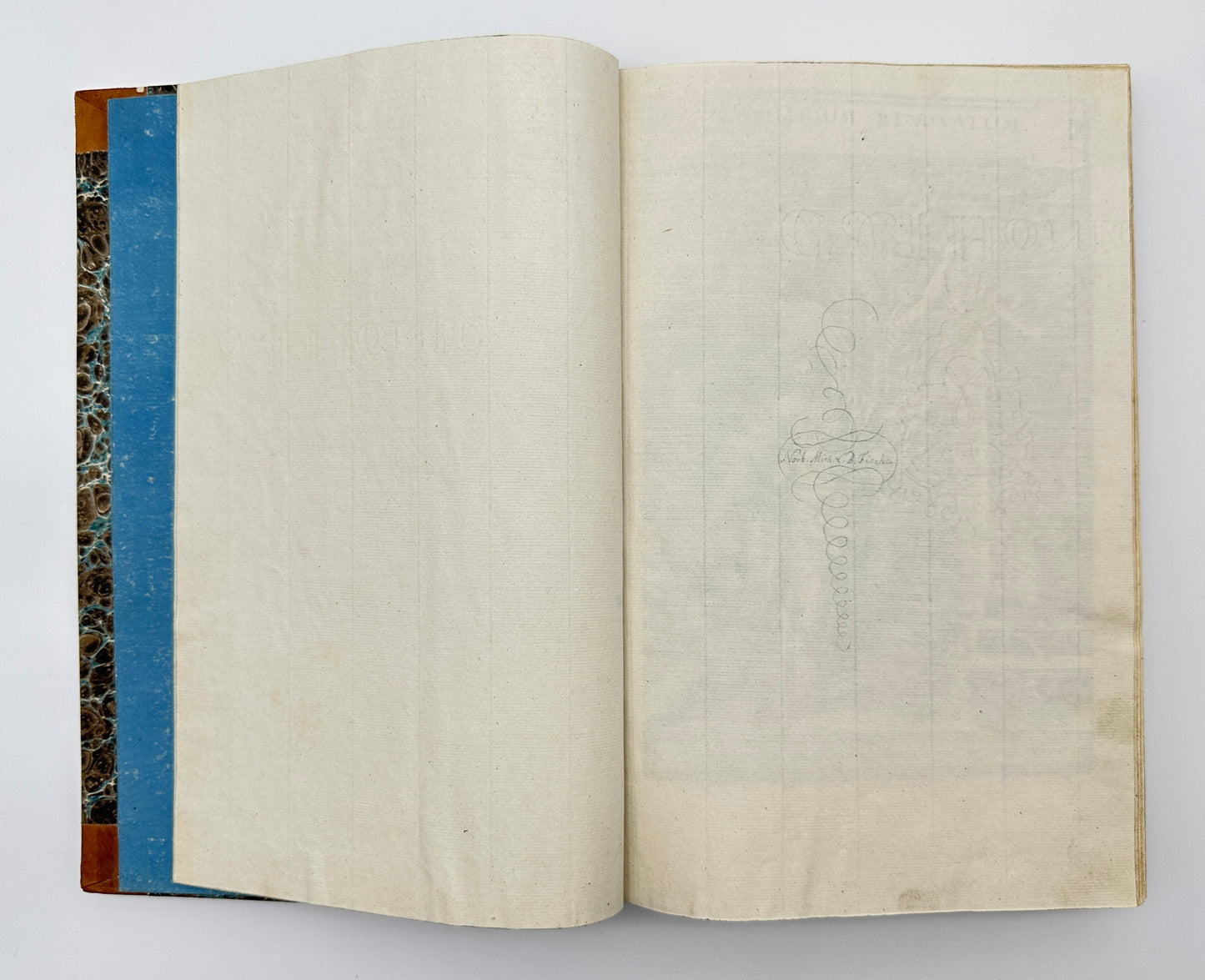 Johann Theodor de Bry and Matteus Merian - Florilegium renovatum et auctum: Das ist Vernewertes und vermehrtes Blumenbuch