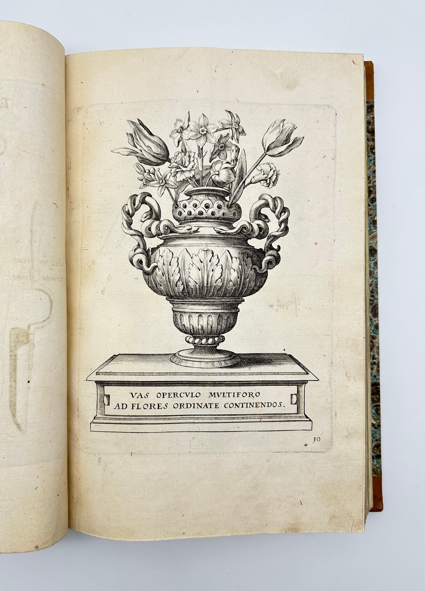 Johann Theodor de Bry and Matteus Merian - Florilegium renovatum et auctum: Das ist Vernewertes und vermehrtes Blumenbuch