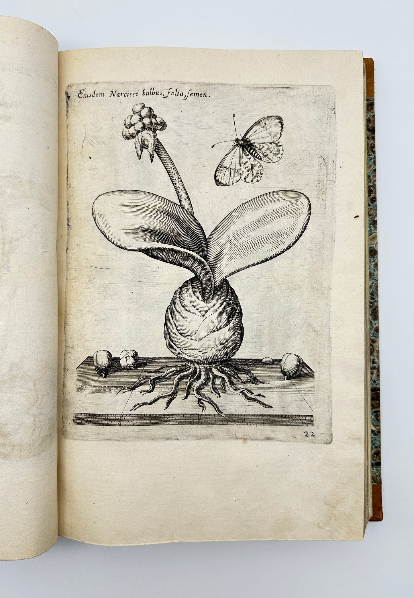 Johann Theodor de Bry and Matteus Merian - Florilegium renovatum et auctum: Das ist Vernewertes und vermehrtes Blumenbuch