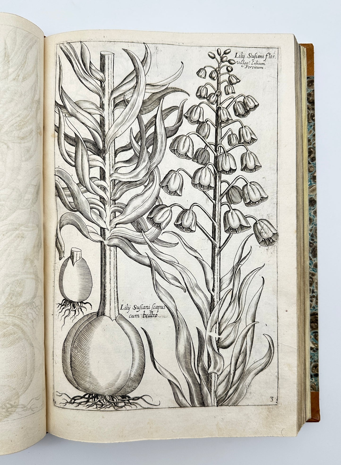 Johann Theodor de Bry and Matteus Merian - Florilegium renovatum et auctum: Das ist Vernewertes und vermehrtes Blumenbuch