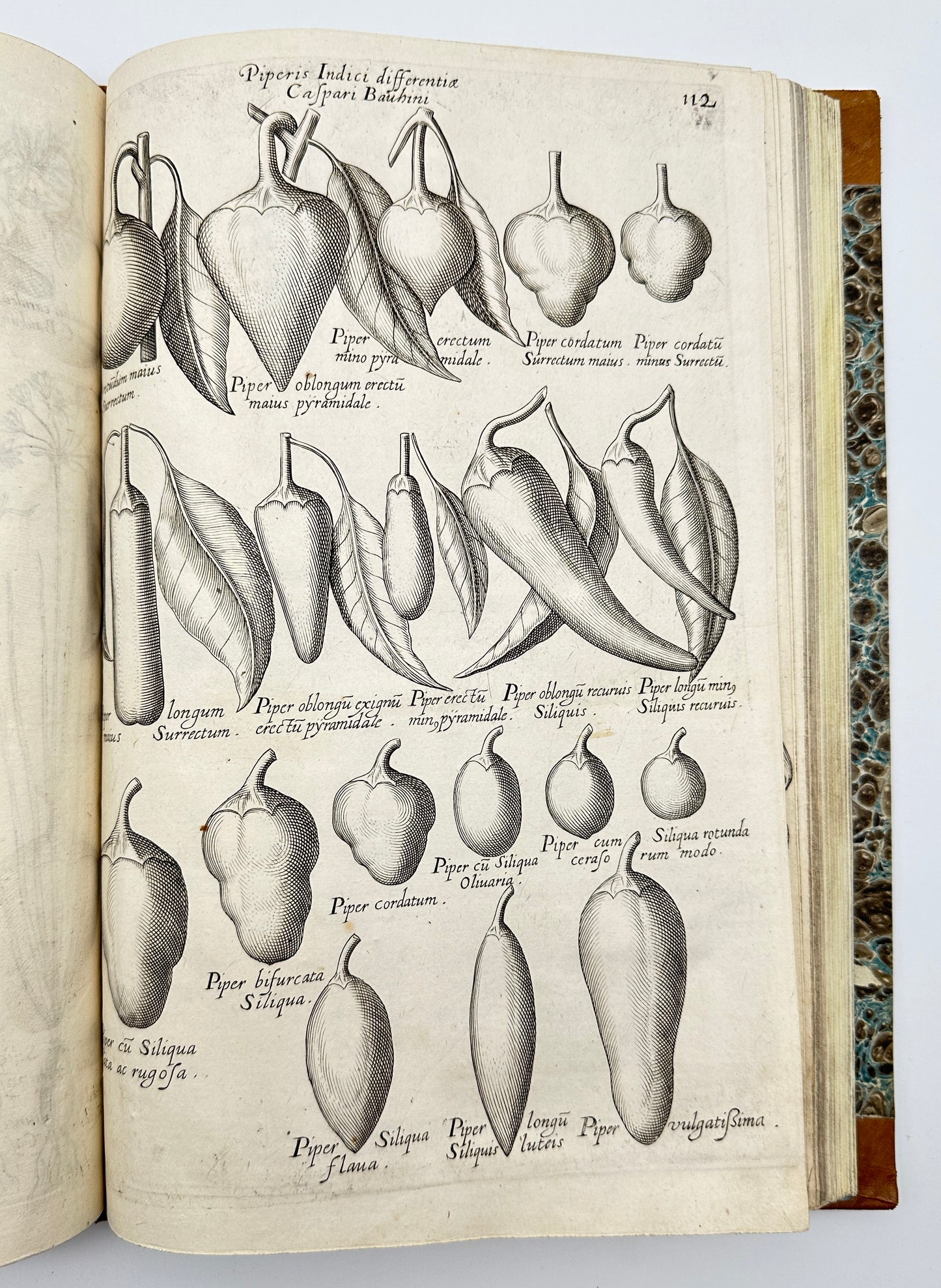 Johann Theodor de Bry and Matteus Merian - Florilegium renovatum et auctum: Das ist Vernewertes und vermehrtes Blumenbuch