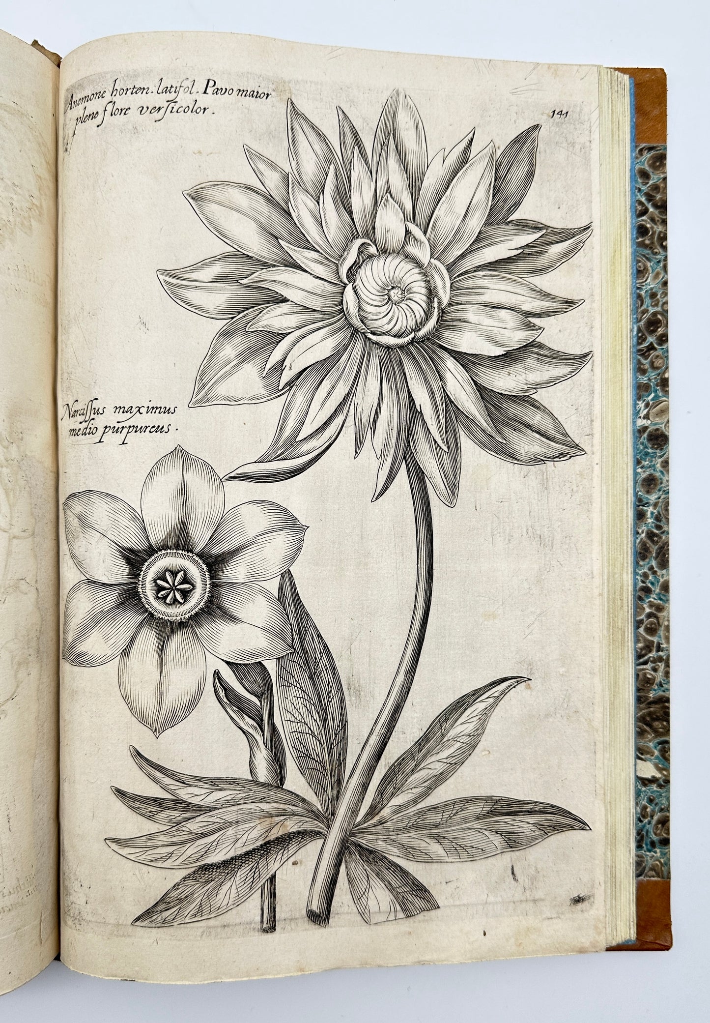 Johann Theodor de Bry and Matteus Merian - Florilegium renovatum et auctum: Das ist Vernewertes und vermehrtes Blumenbuch