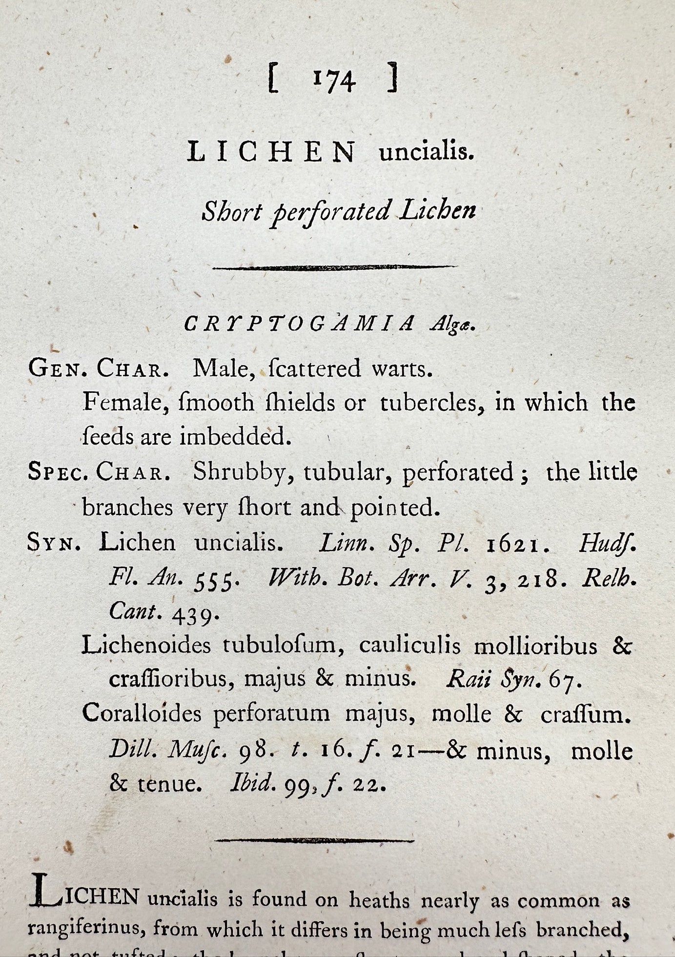 Antique Print - James Sowerby - Lichen Uncialis - Short Perforated Lichen - F1