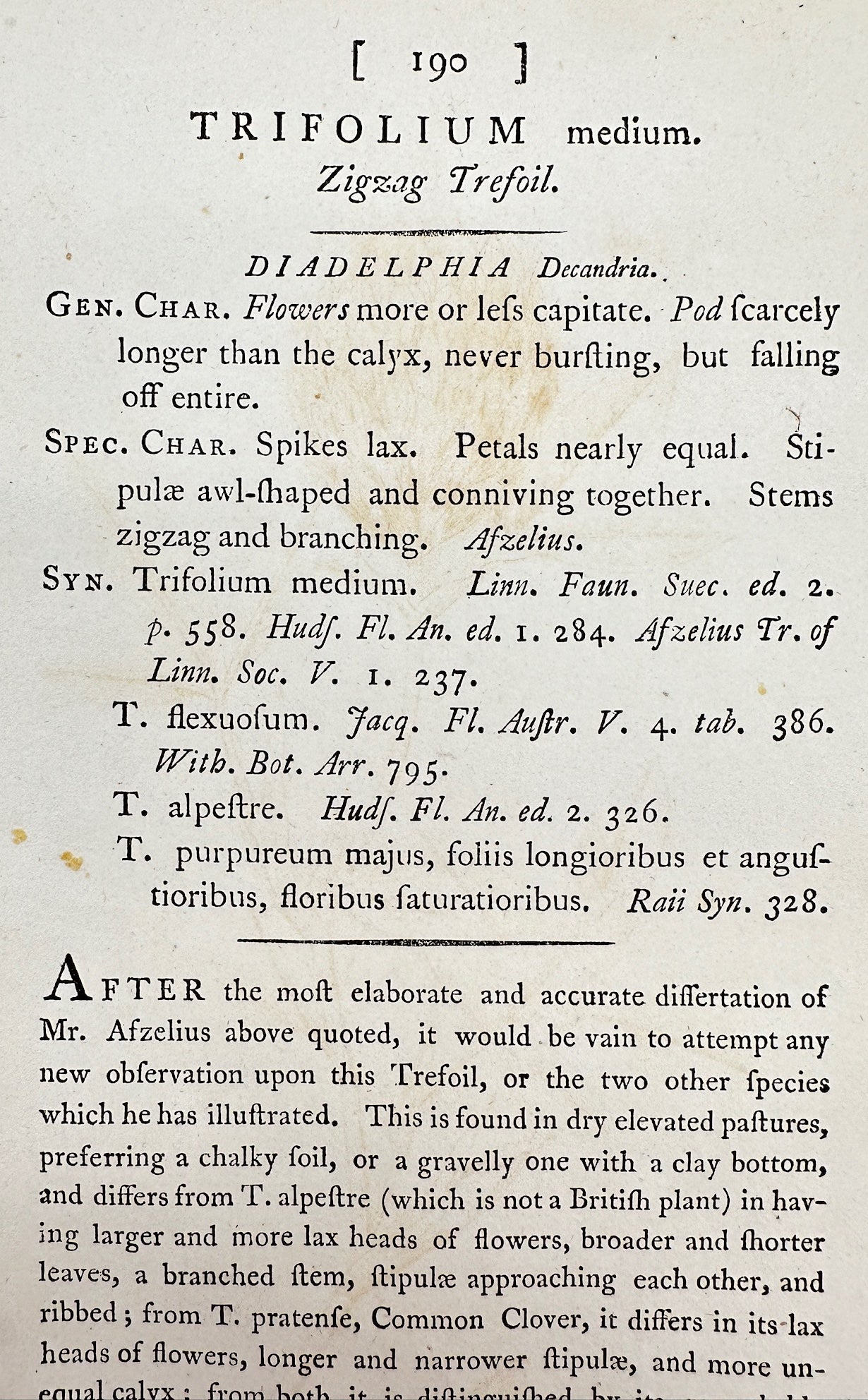 Antique Botanical Print - James Sowerby - Trifolium Medium - Zigzag Trefoil - F1