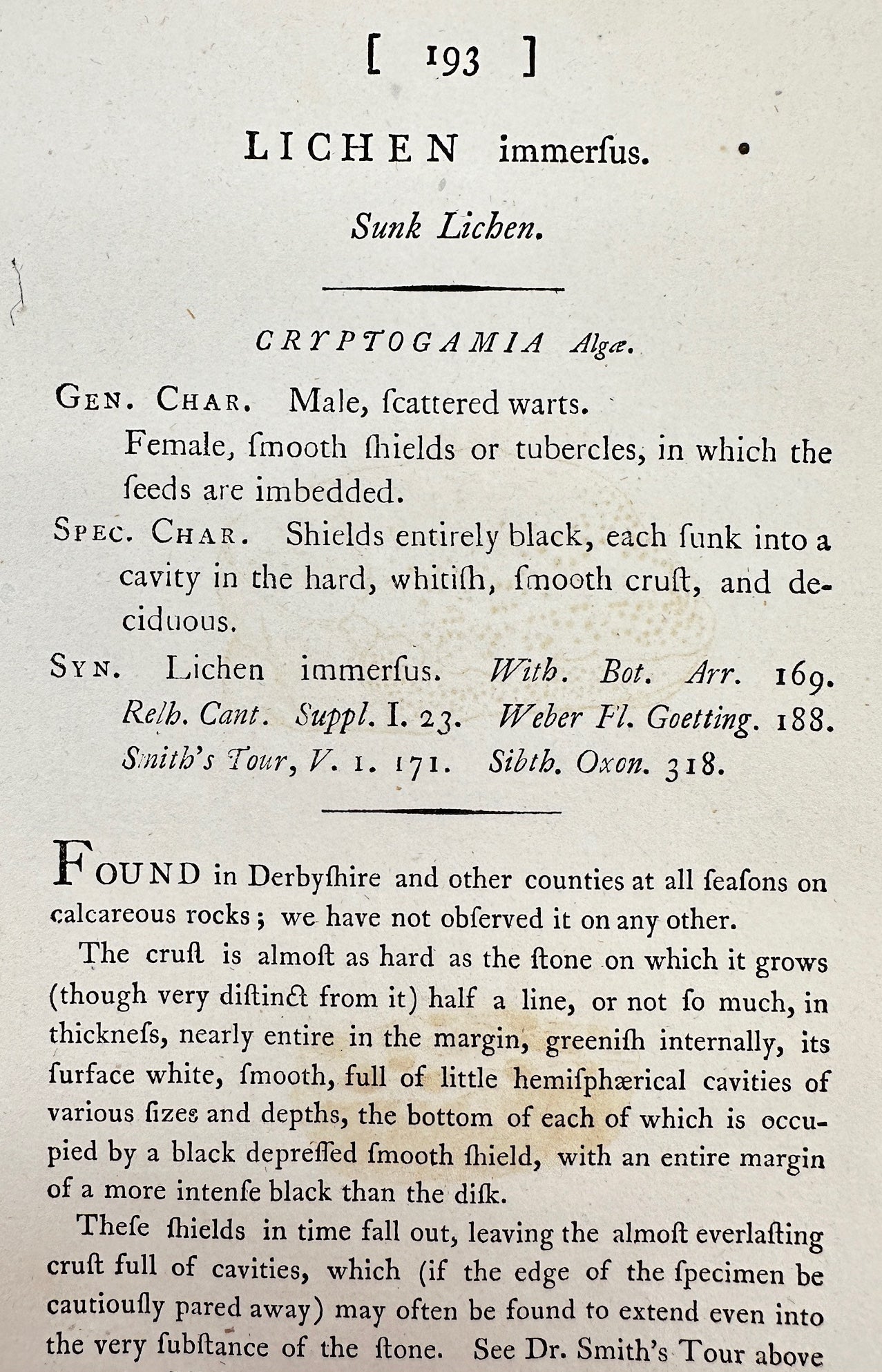 Antique Botanical Print - James Sowerby - Lichen Immerfus - Sunk Lichen - F1