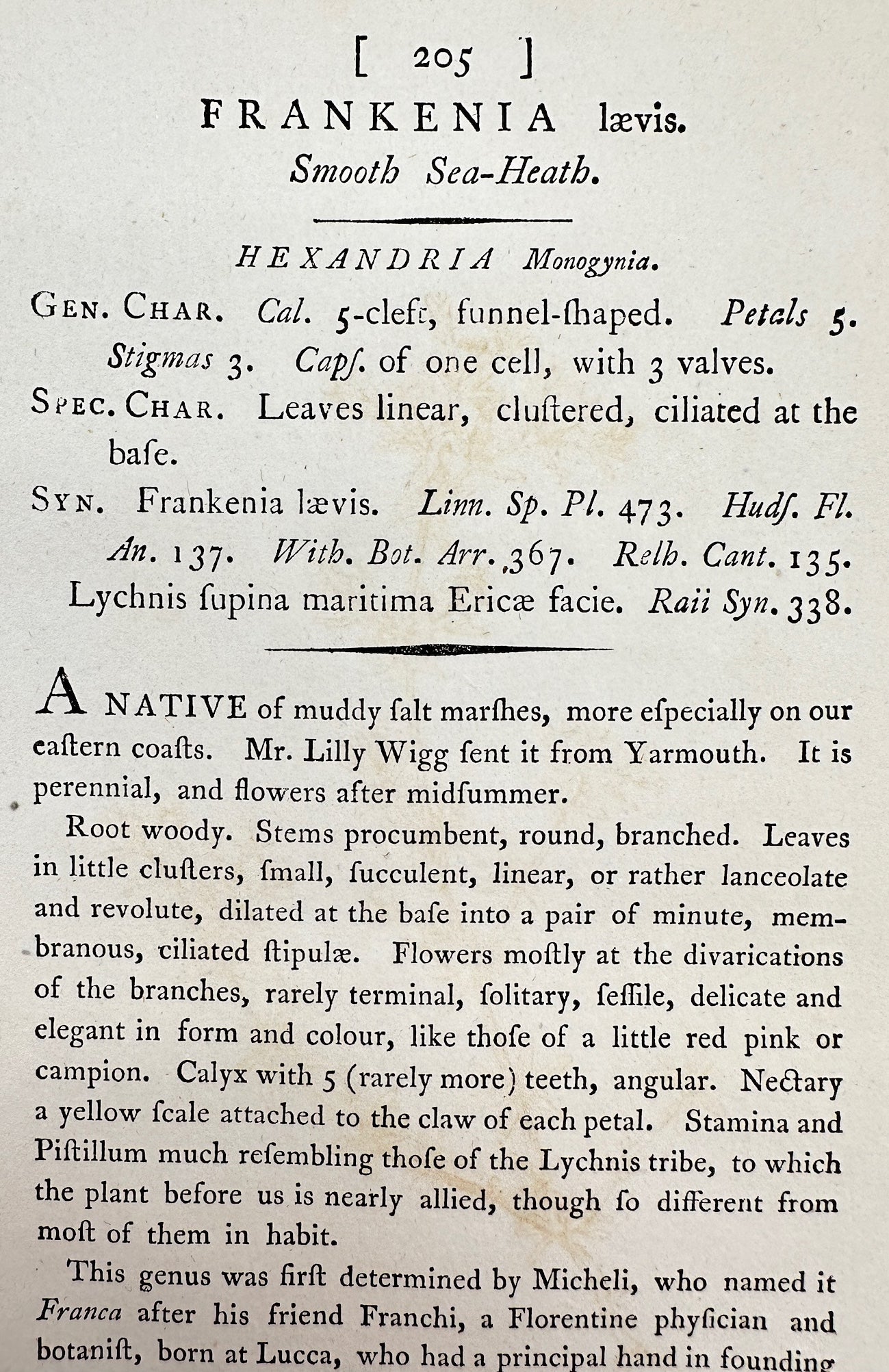 Antique Print - James Sowerby - Frankenia Lævis - Smooth Sea-Heath - F1