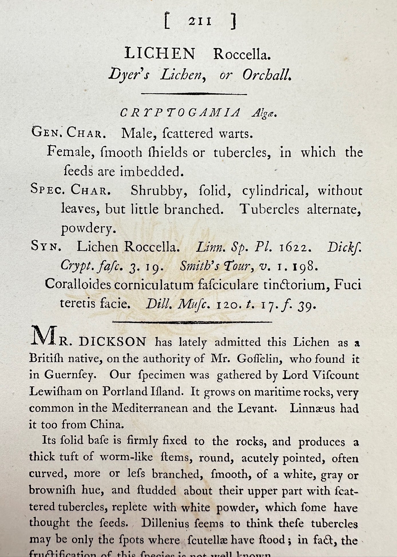 Antique Botanical Print - James Sowerby - Lichen Roccella - Dyer's Lichen - F1