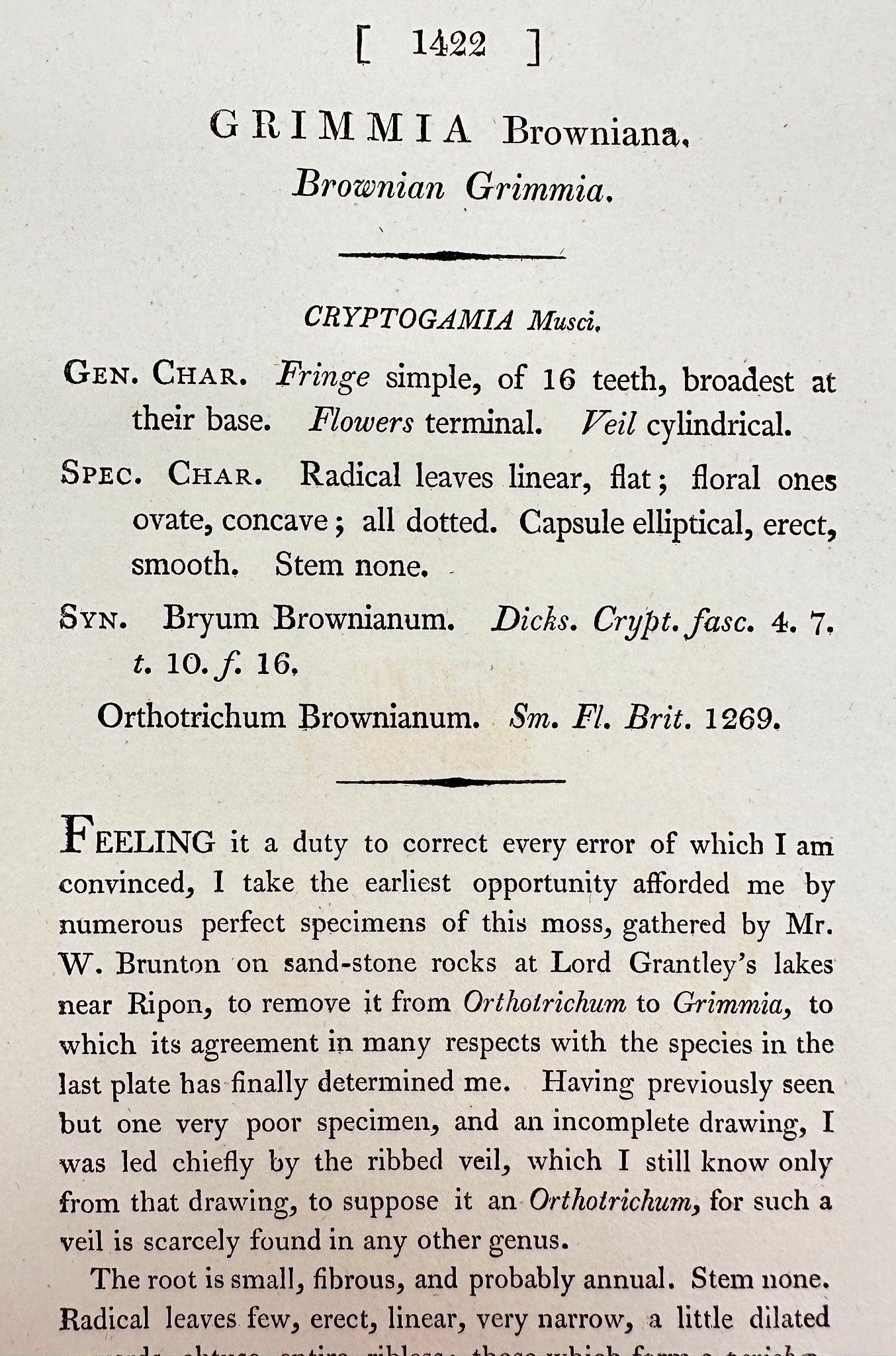 Antique Print - James Sowerby - Grimmia Browniana - Brownian Grimmia - F1