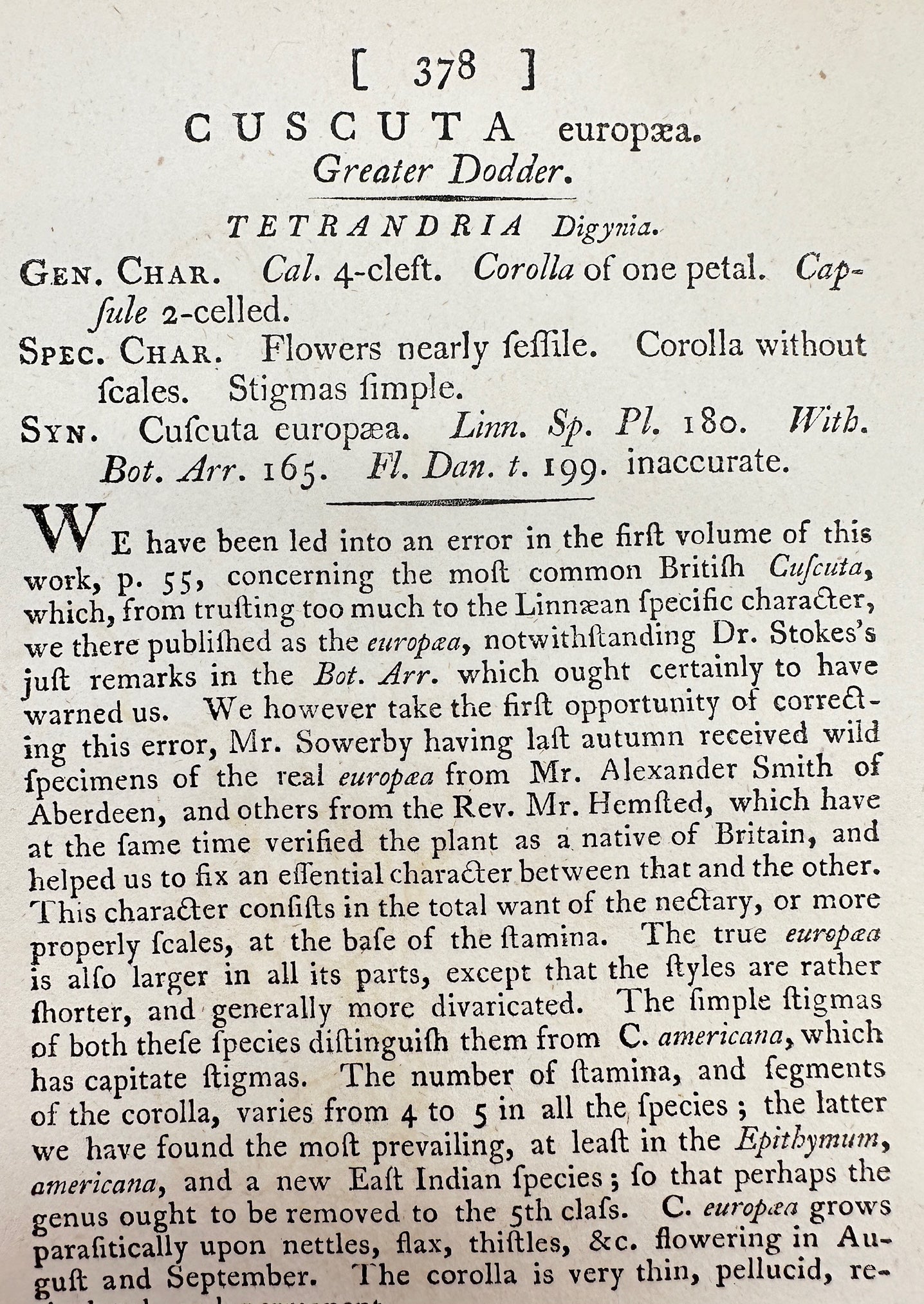 Antique Botanical Print - James Sowerby - Cuscuta Europæa - Greater Dodder - F1