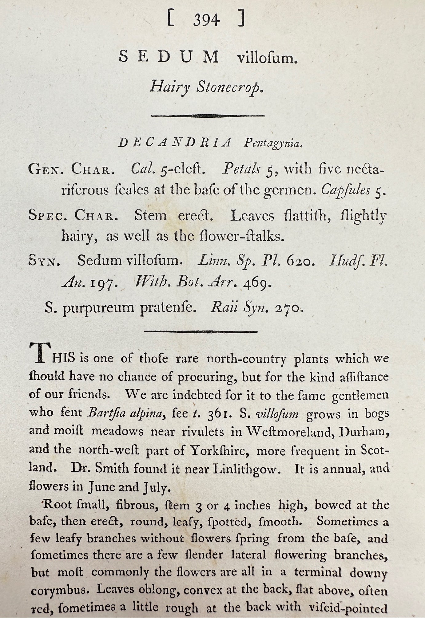 Antique Botanical Print - James Sowerby - Sedum Villofum - Hairy Stonecrop - F1