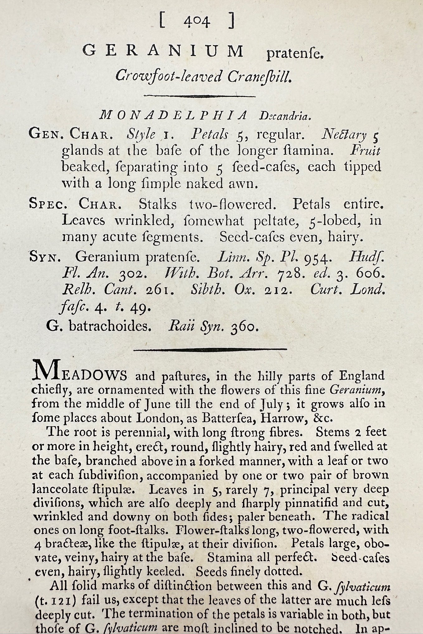 Antique Print - Sowerby - Geranium Pratenfe - Crowfoot-leaved Cranesbill - F1
