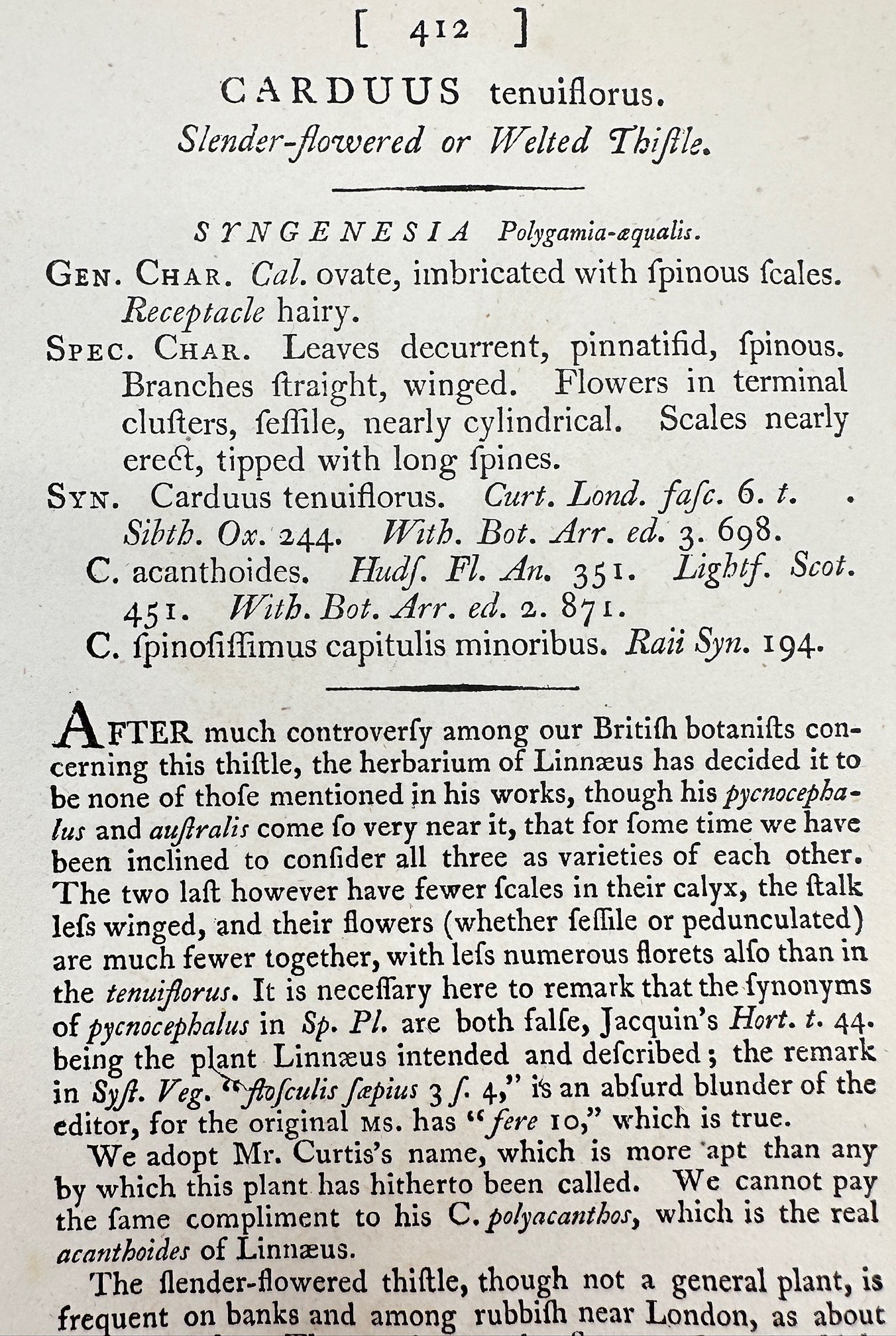 Antique Print - James Sowerby - Carduus Tenuiflorus - Slender-flowered - F1