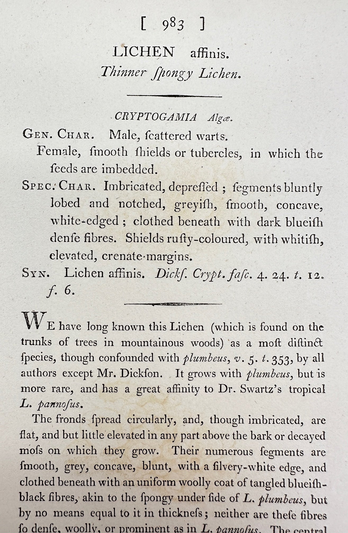 Antique Print - James Sowerby - Lichen Affinis - Thinner Spongy Lichen - F1