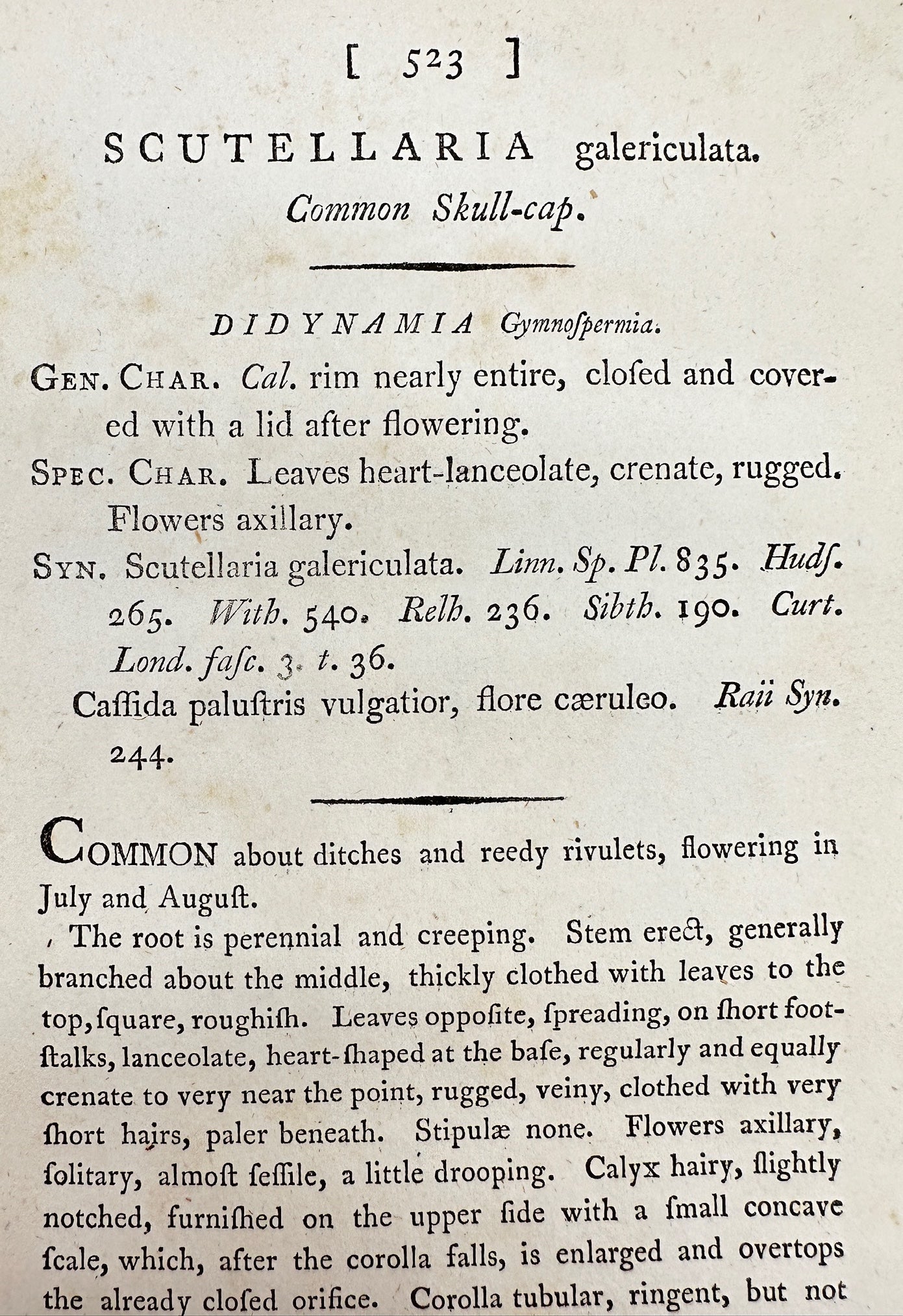 Antique Print - James Sowerby - Scutellaria Galericulata - Common Skull-cap - F1