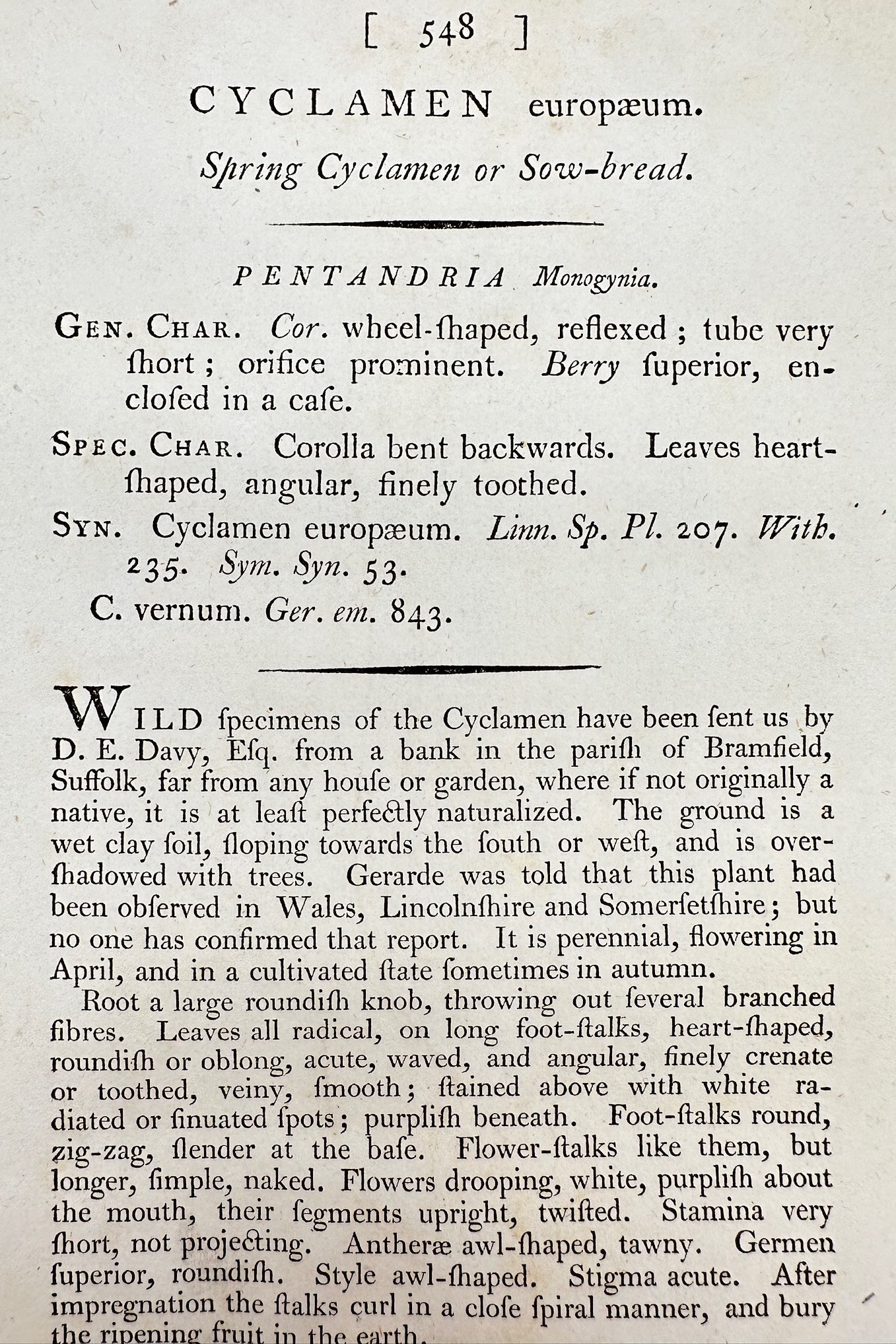 Antique Print - James Sowerby - Cyclamen Europæum - Spring Cyclamen - F1