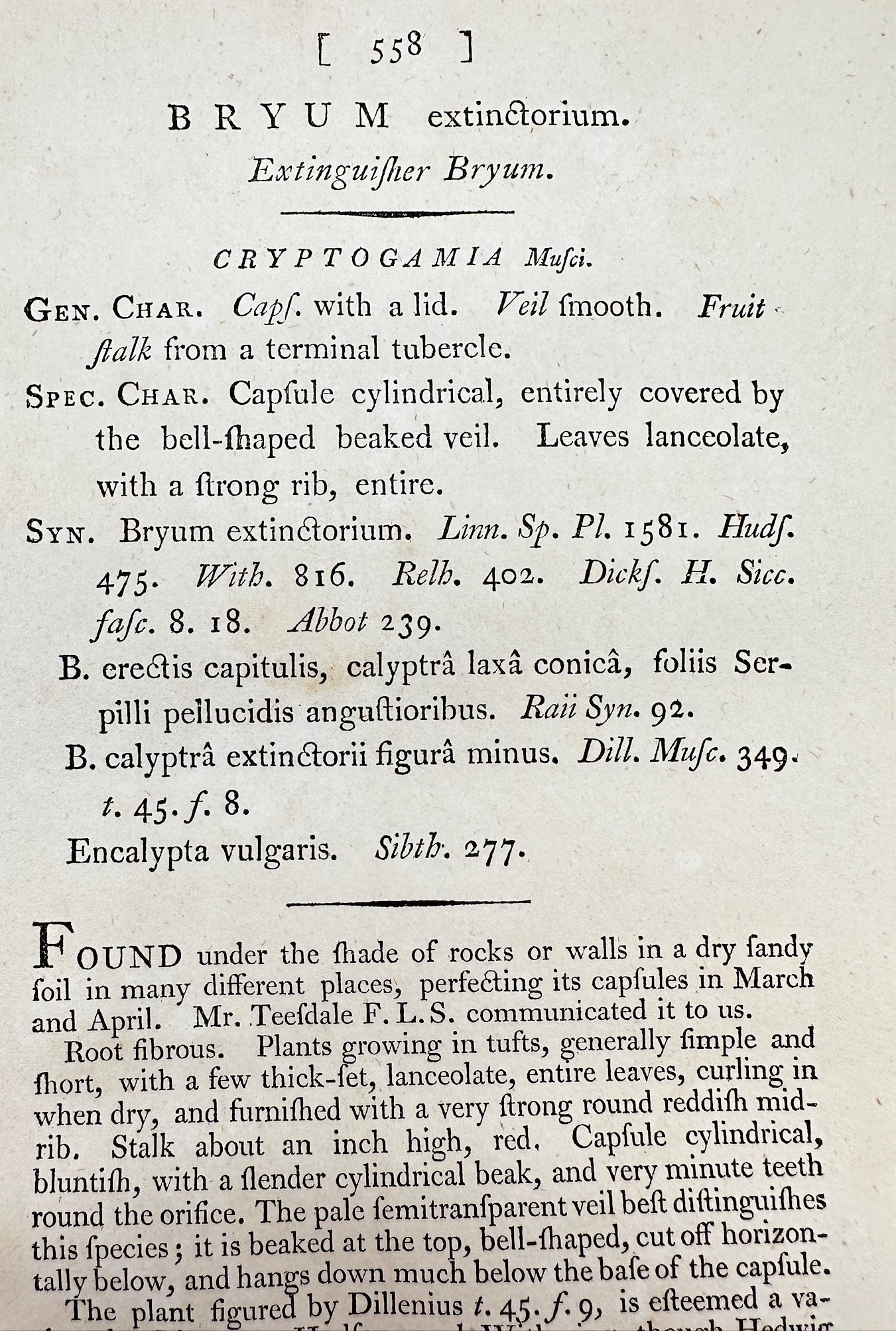 Antique Print - James Sowerby - Bryum Extinctorium - Extinguisher Bryum - F1