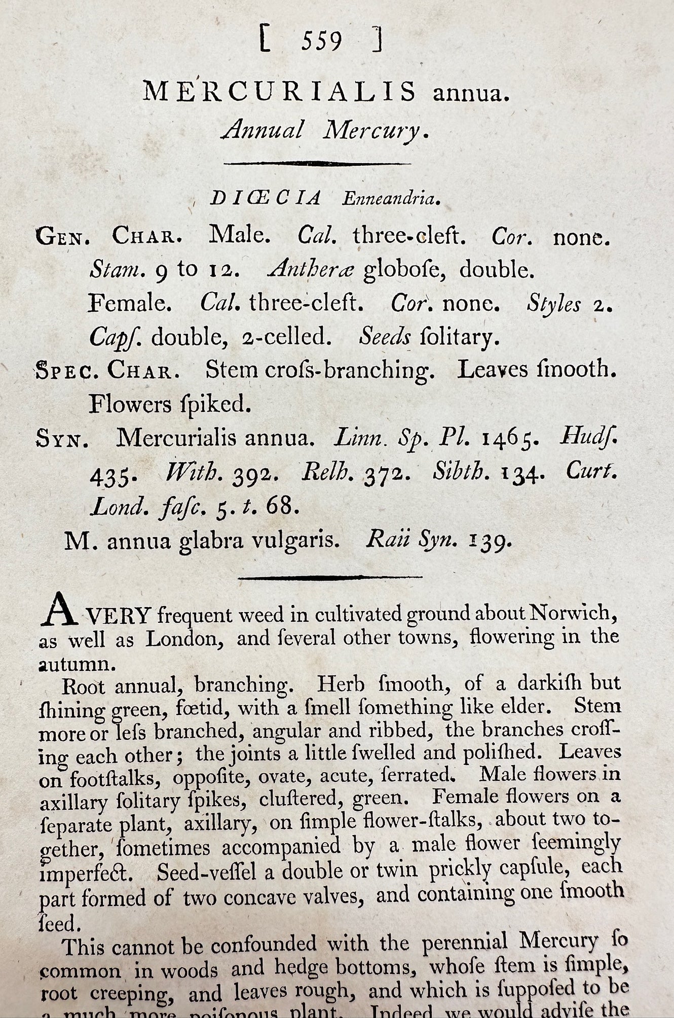 Antique Print - James Sowerby - Mercurialis Annua - Annual Mercury - F1