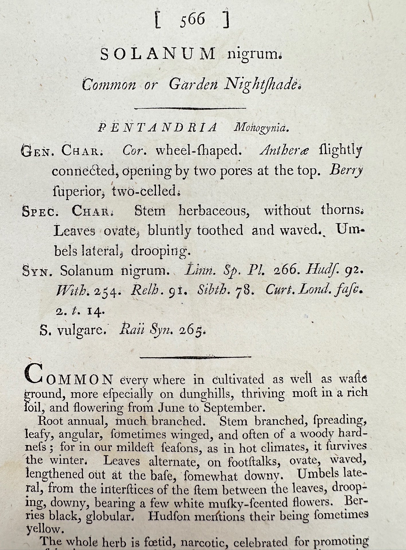 Antique Print - Sowerby - Solanum Nigrum - Common or Garden Nightshade - F1