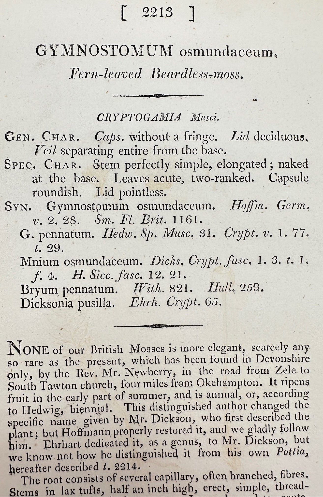 Antique Print - Gymnostomum Osmundaceum - Fern-leaved Beardless-moss - F1