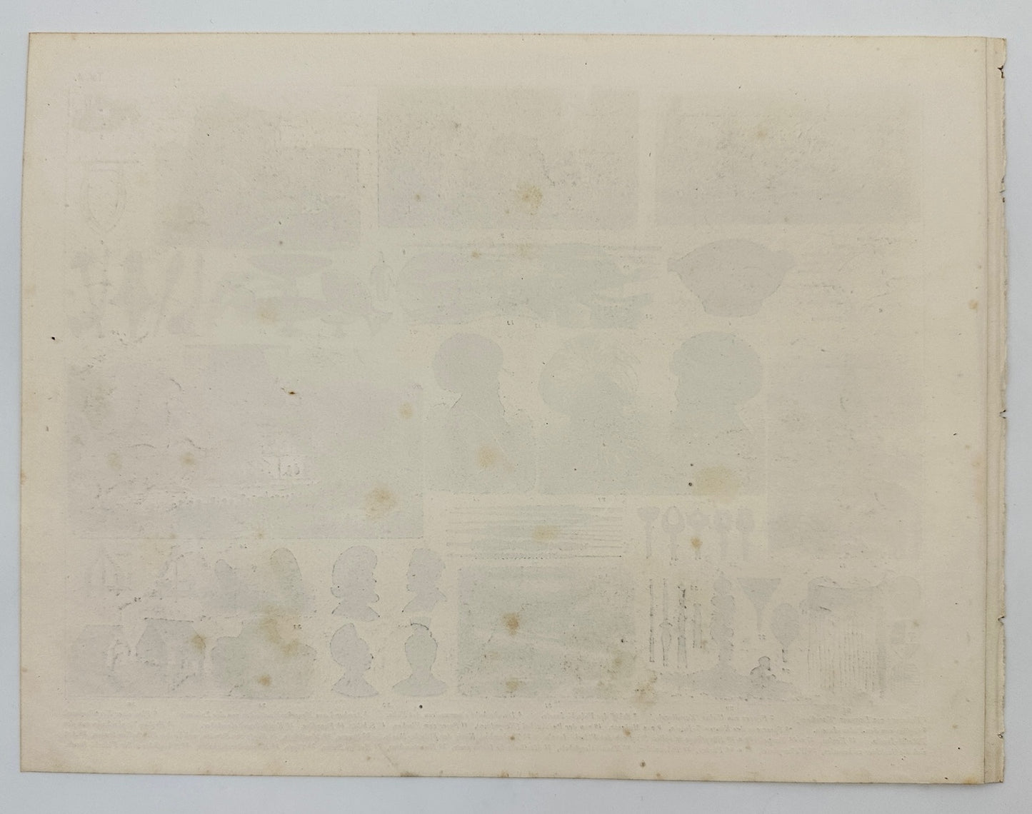 Original Antique Print - Friedrich Arnold Brockhaus - Pacific Islands - C5