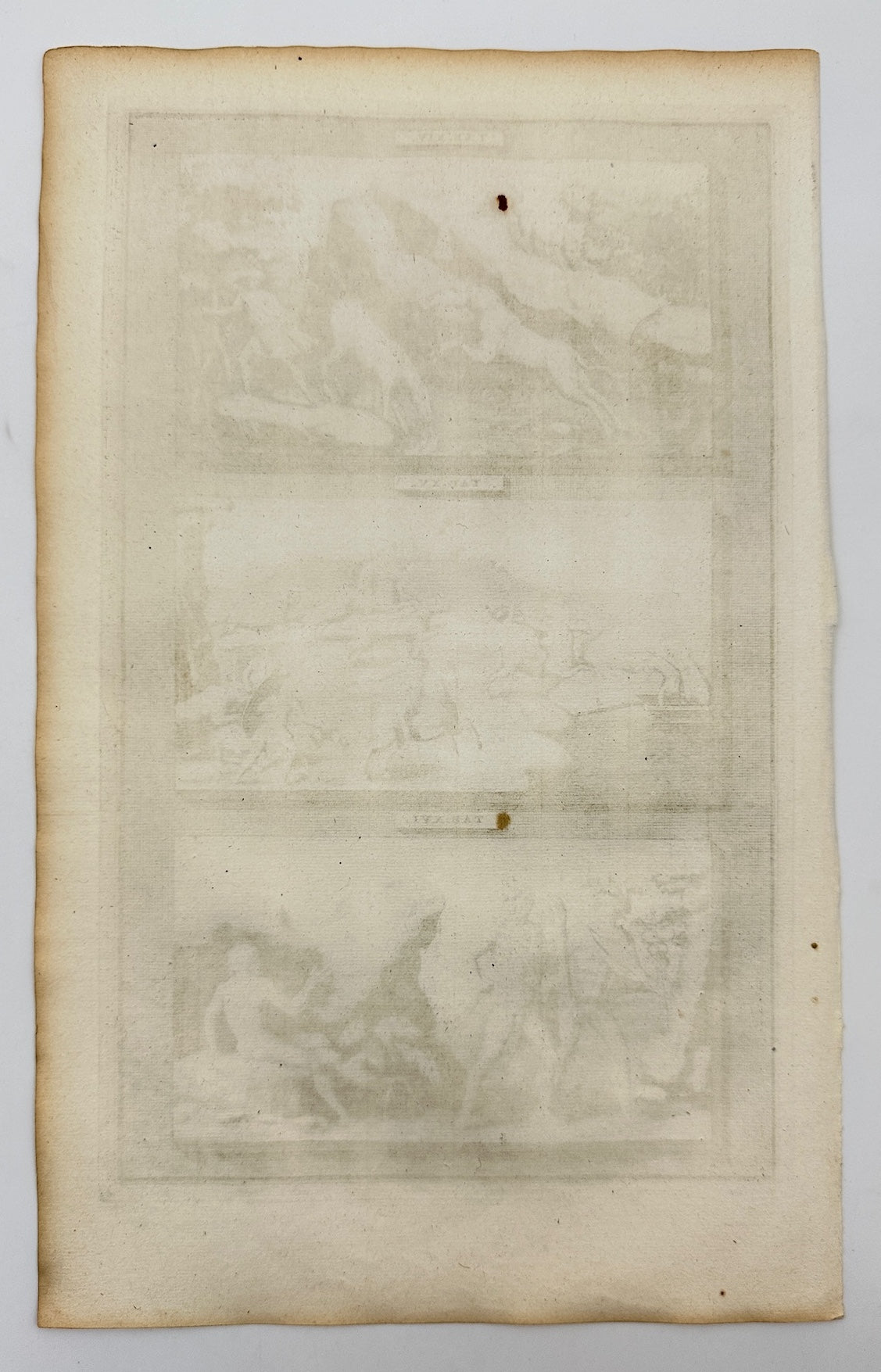 Antique Engraving - Friedrich Jan Georee - Ancient Greek Mythology - Rome - C5