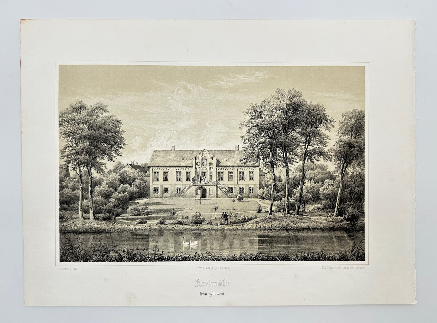 Original Antique Print - Richardt Ferdinand - Arelwald from the south-west - F3