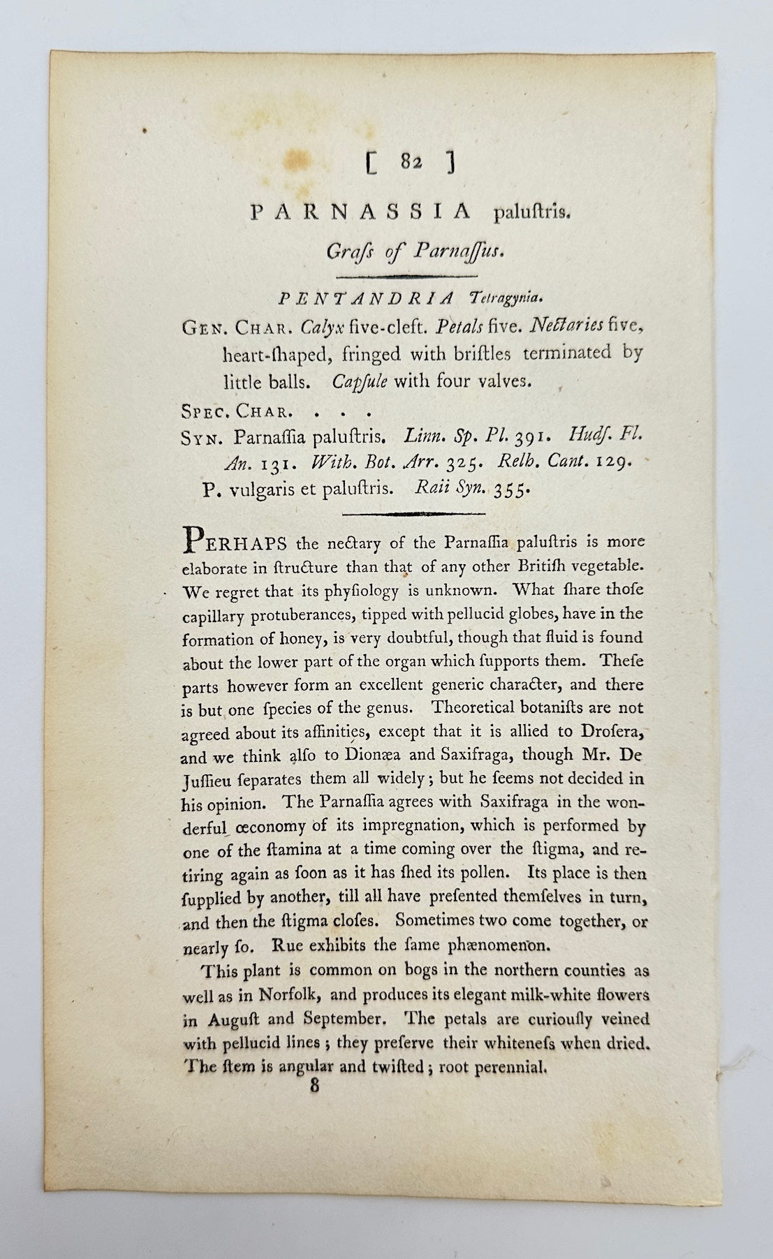 Antique Print - James Sowerby - Parnassia Palustris - Grass of Parnassus - F1