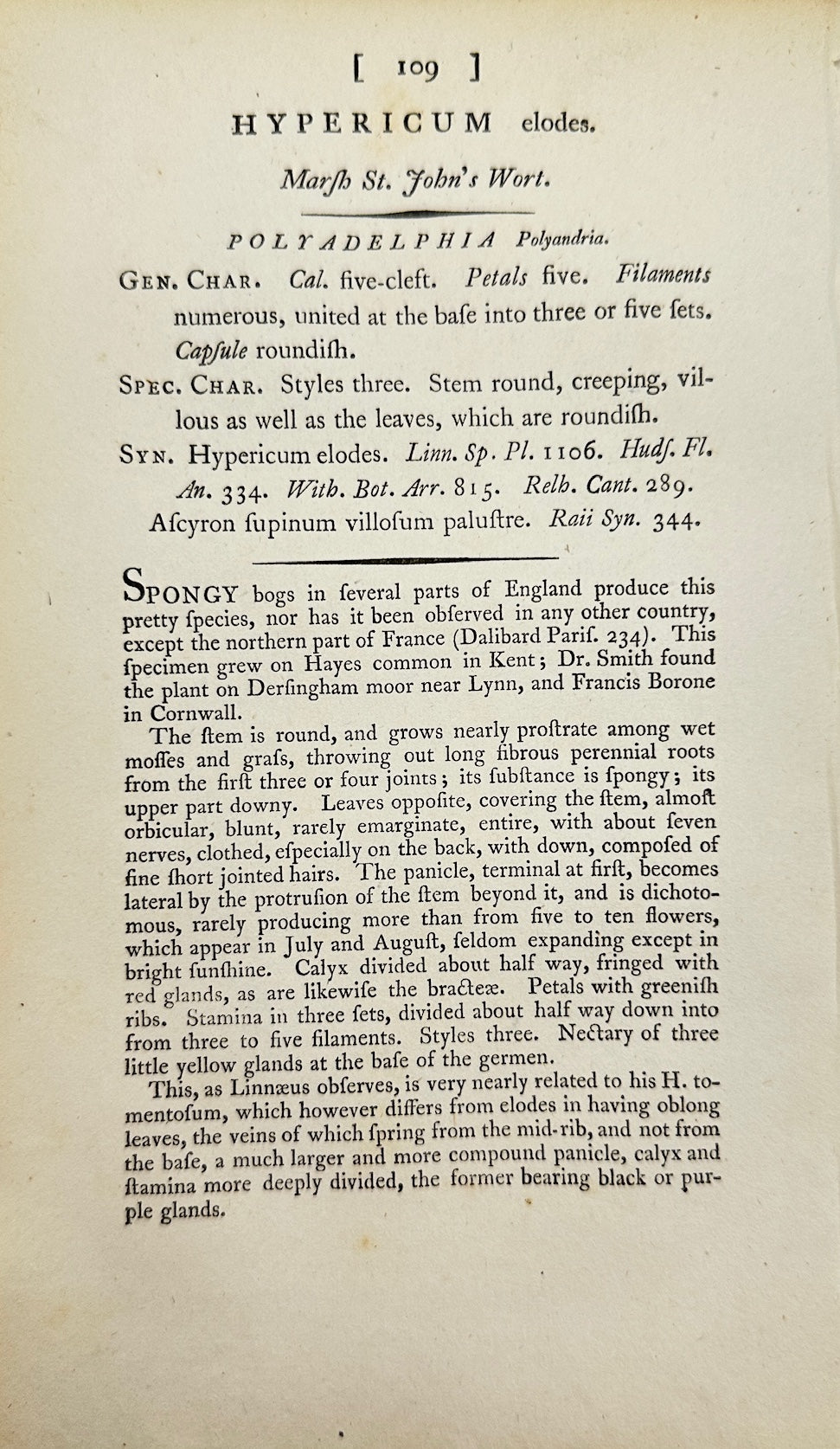 Antique Print - James Sowerby - Hypericum Elodes - Marsh St. John's Wort - F1