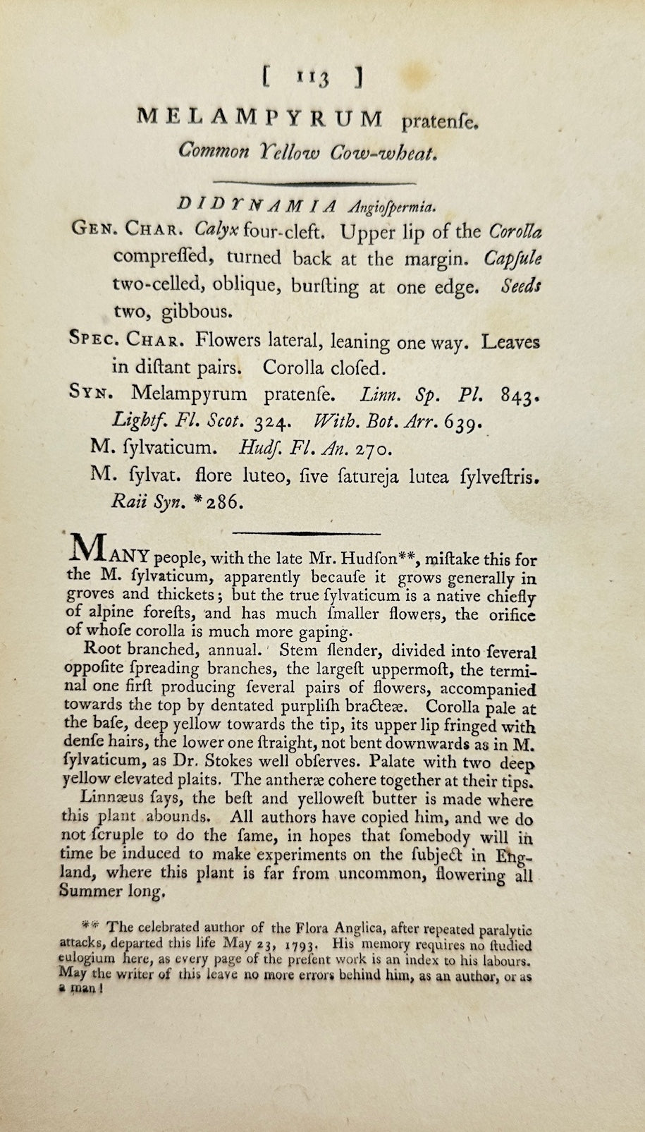 Antique Print - James Sowerby - Melampyrum Pratense - Common Cow-wheat - F1