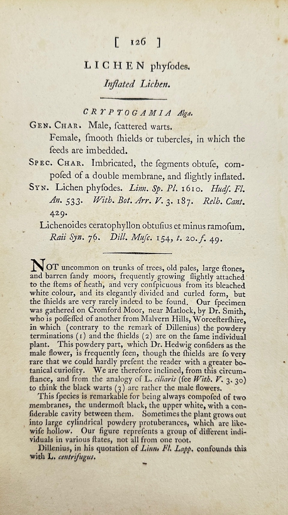 Antique Botanical Print - James Sowerby - Lichen Physodes - Physodes Lichen - F1