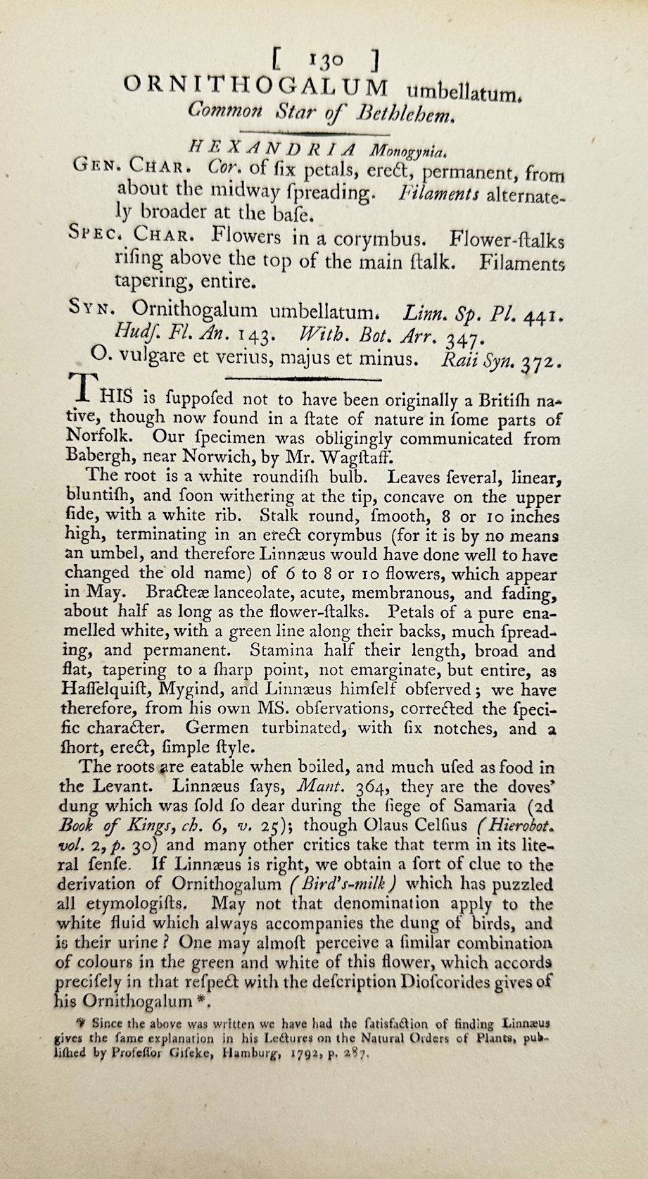 Antique Print - James Sowerby - Ornithogalum Umbellatum - Star of Bethlehem - F1