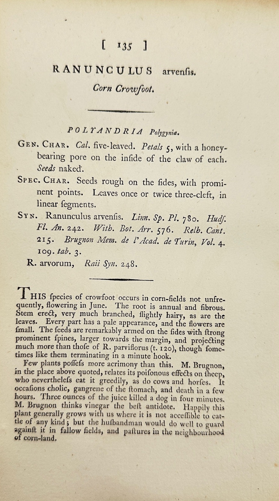 Antique Print - James Sowerby - Ranunculus Arvensis - Corn Buttercup - F1