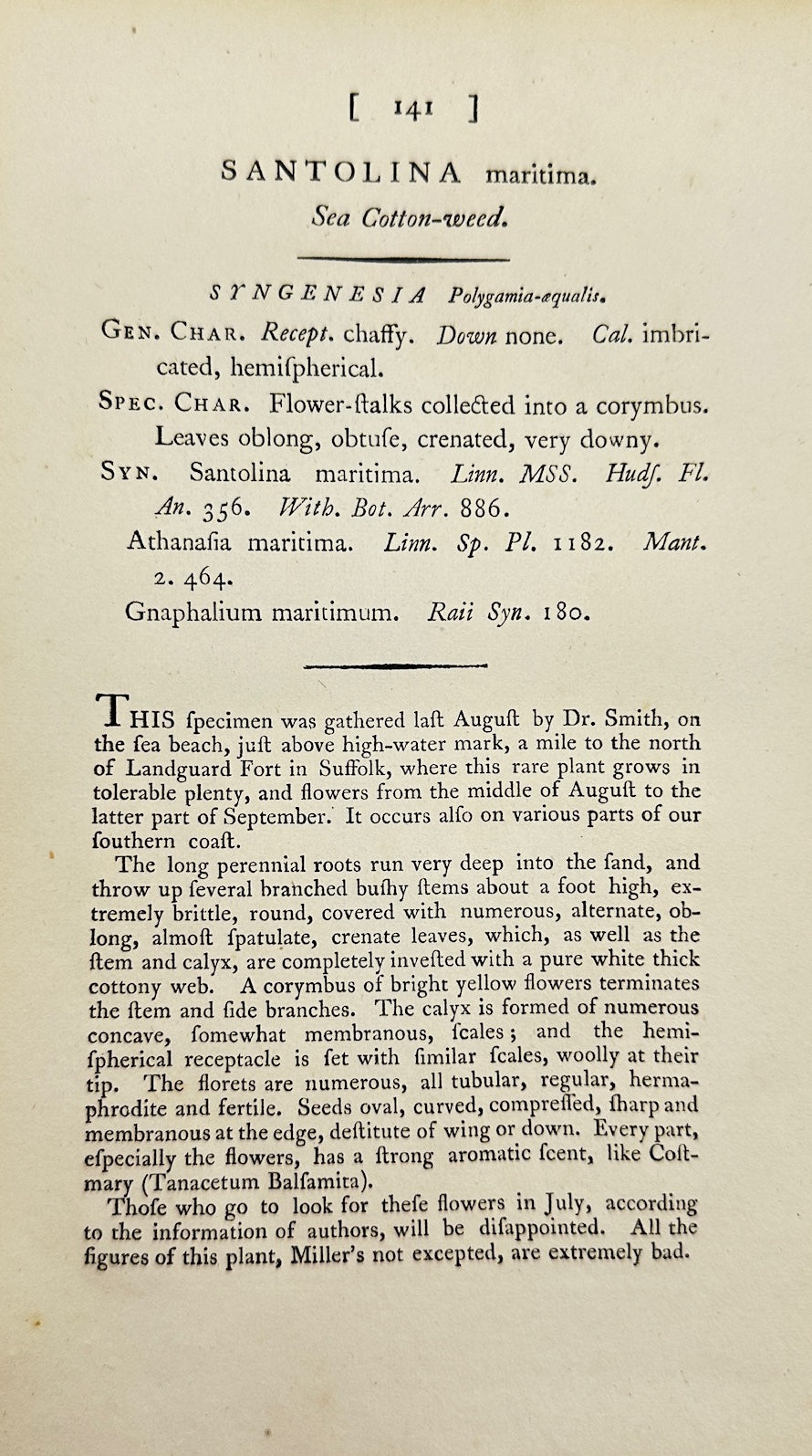 Antique Botanical Print - James Sowerby - Santolina Maritim - Sea Lavender - F1