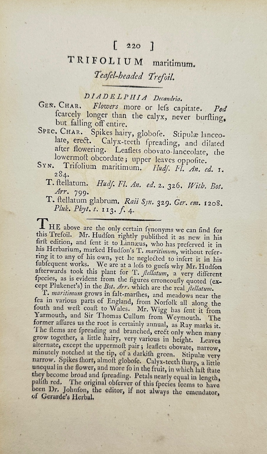 Antique Botanical Print - James Sowerby - Trifolium Maritimum - Sea Clover - F1