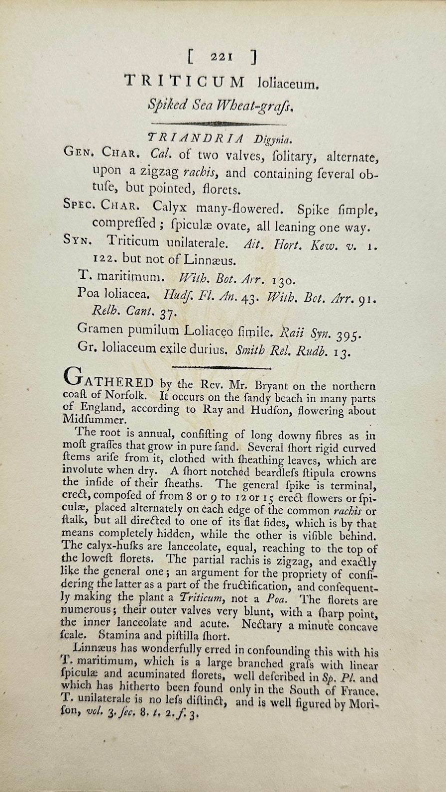 Antique Botanical Print - Sowerby - Triticum Loliaceum - Darnel Wheat - F1
