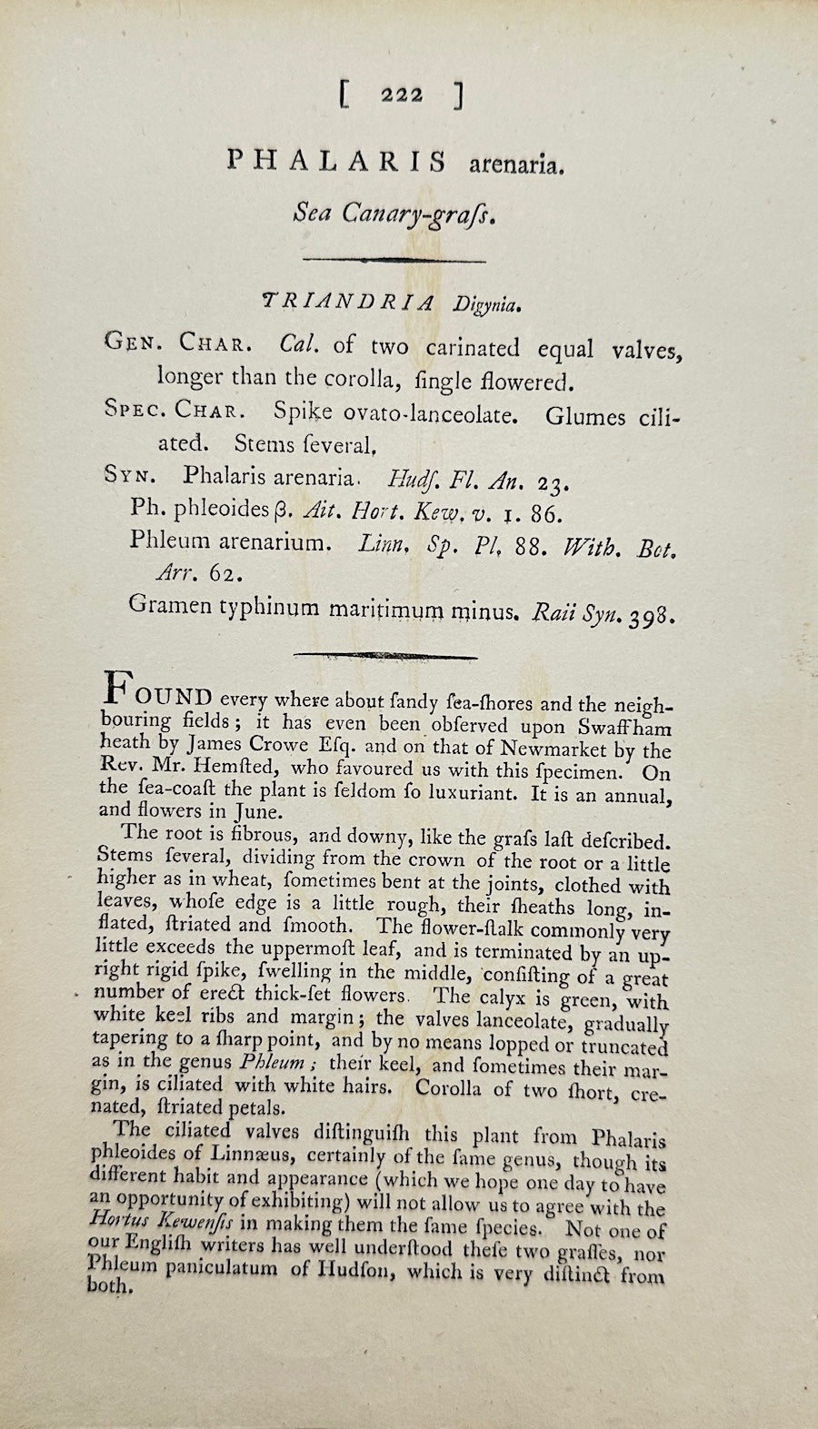 Antique Botanical Print - Sowerby - Phalaris Arenaria - Sand Canary Grass - F1
