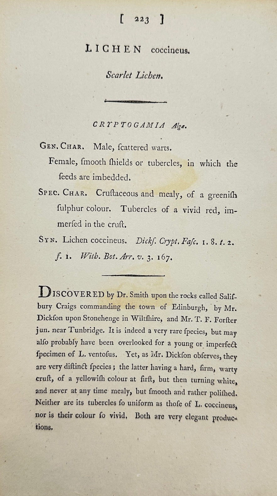 Antique Botanical Print - Sowerby - Lichen Coccineus - Scarlet Lichen - F1