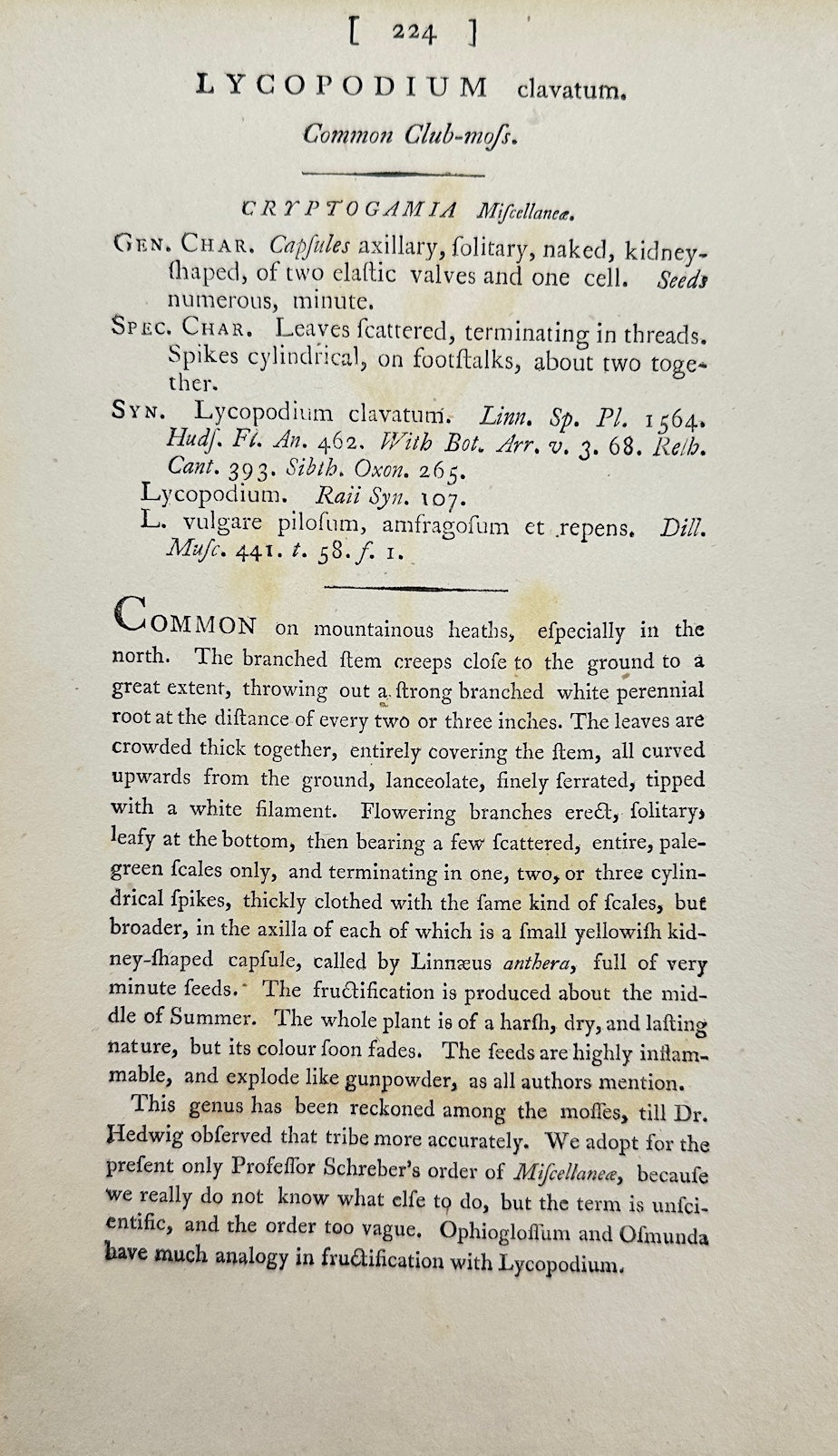 Antique Botanical Print - Sowerby - Lycopodium Clavatum - Clubmoss - F1