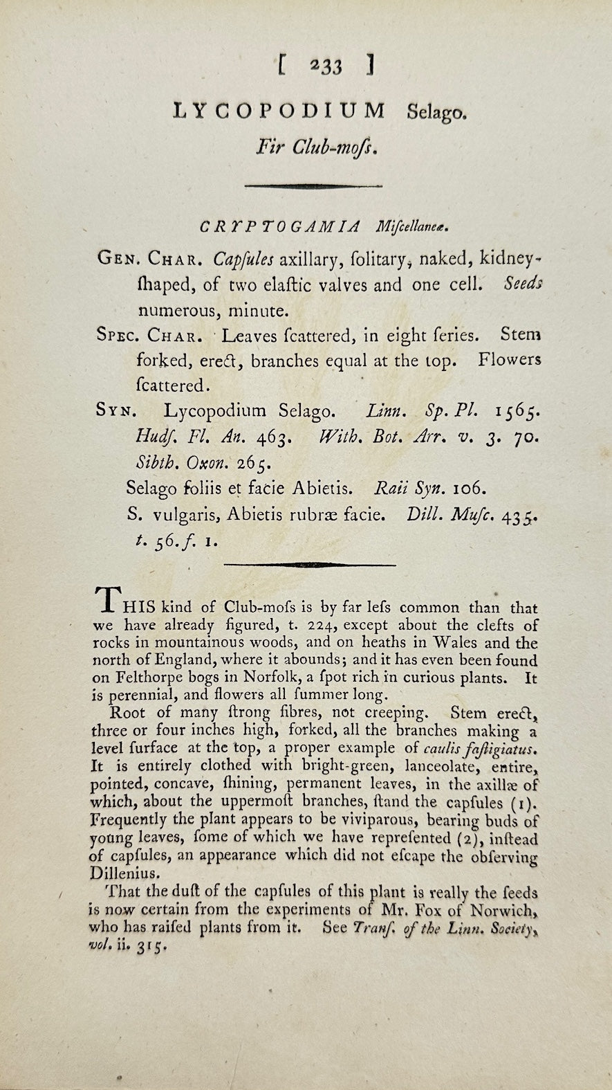 Antique Botanical Print - James Sowerby - Lycopodium Selago - Fir Clubmoss - F1