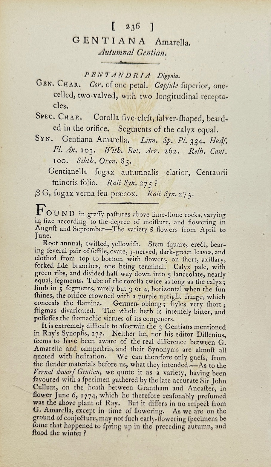 Antique Print - James Sowerby - Gentiana Amarella - Autumn Gentian - F1