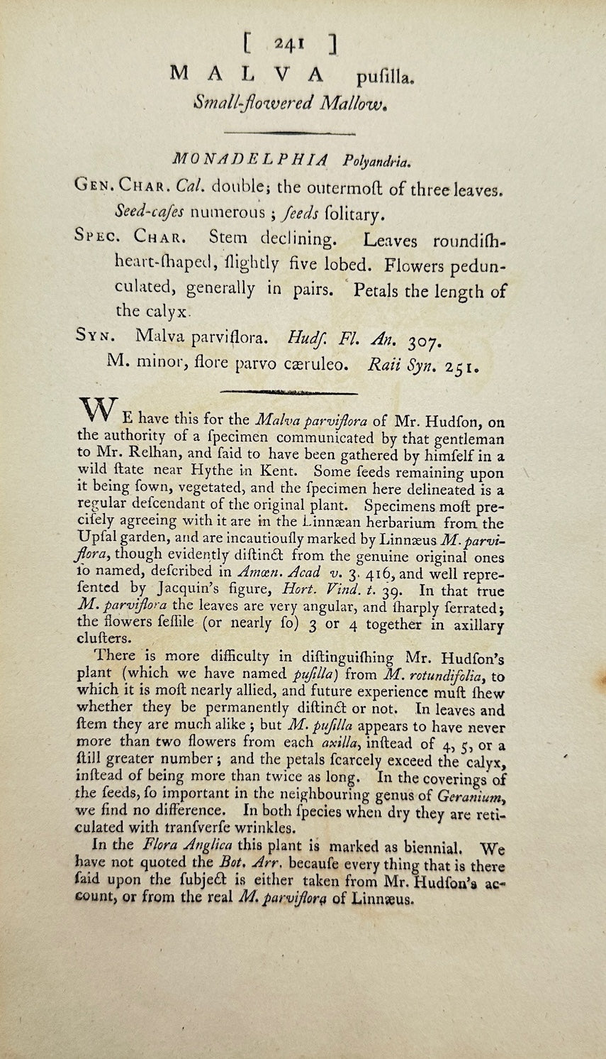 Antique Botanical Print - James Sowerby - Malva Pusilla - Small Mallow - F1