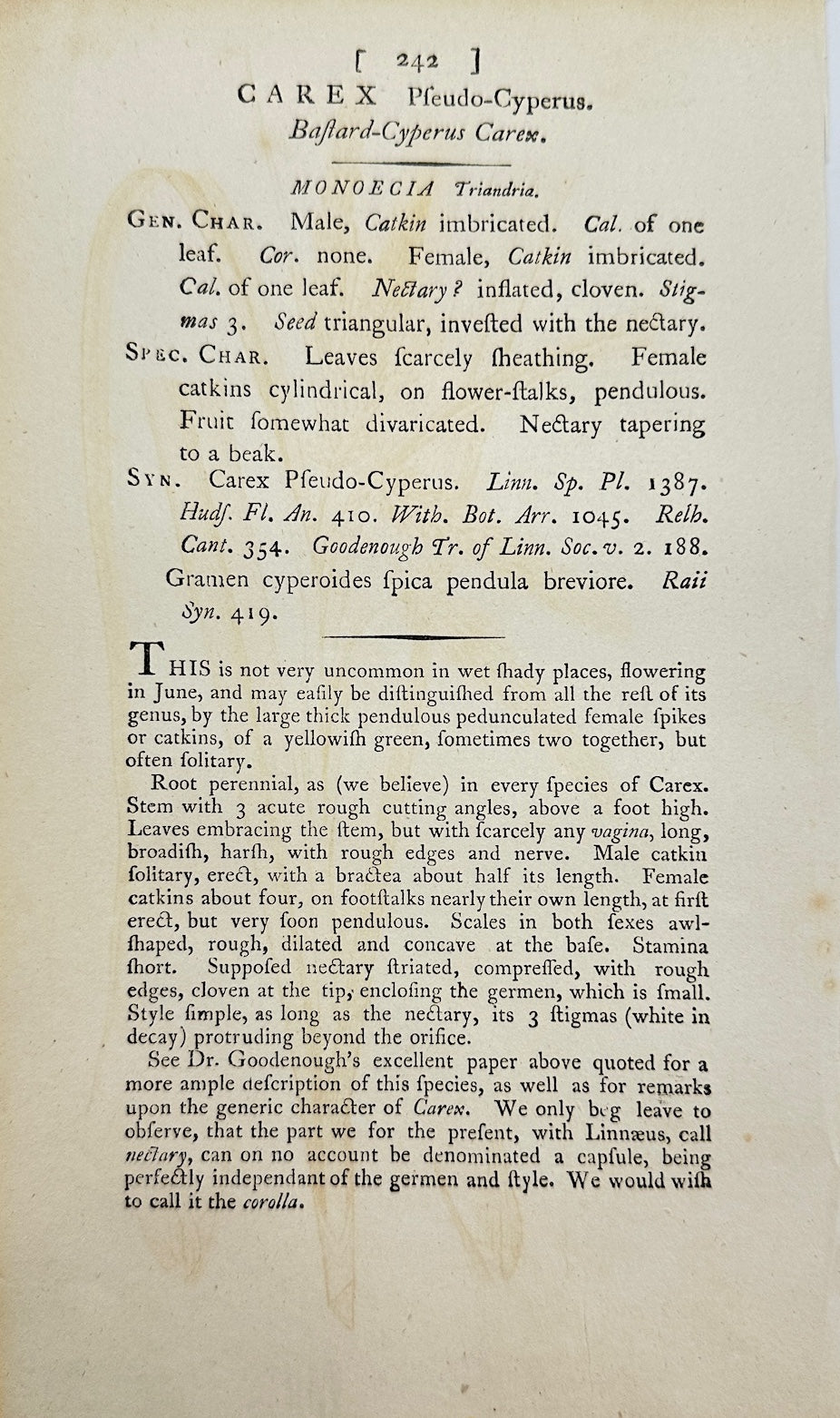 Antique Print - James Sowerby - Carex Pseudo-Cyperus - False Cyperus Sedge - F1