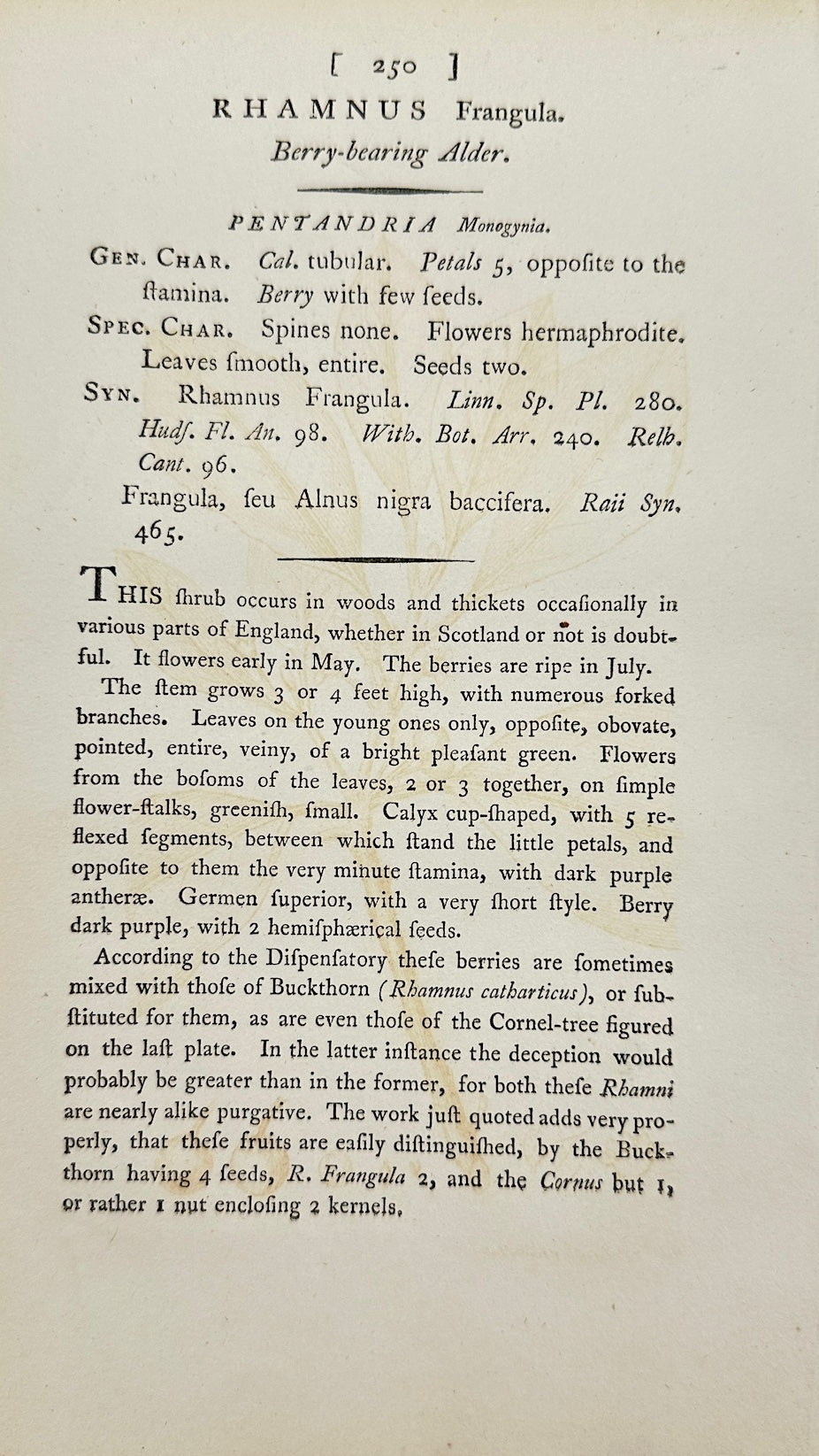 Antique Print - James Sowerby - Rhamnus Frangula - Alder Buckthorn - F1