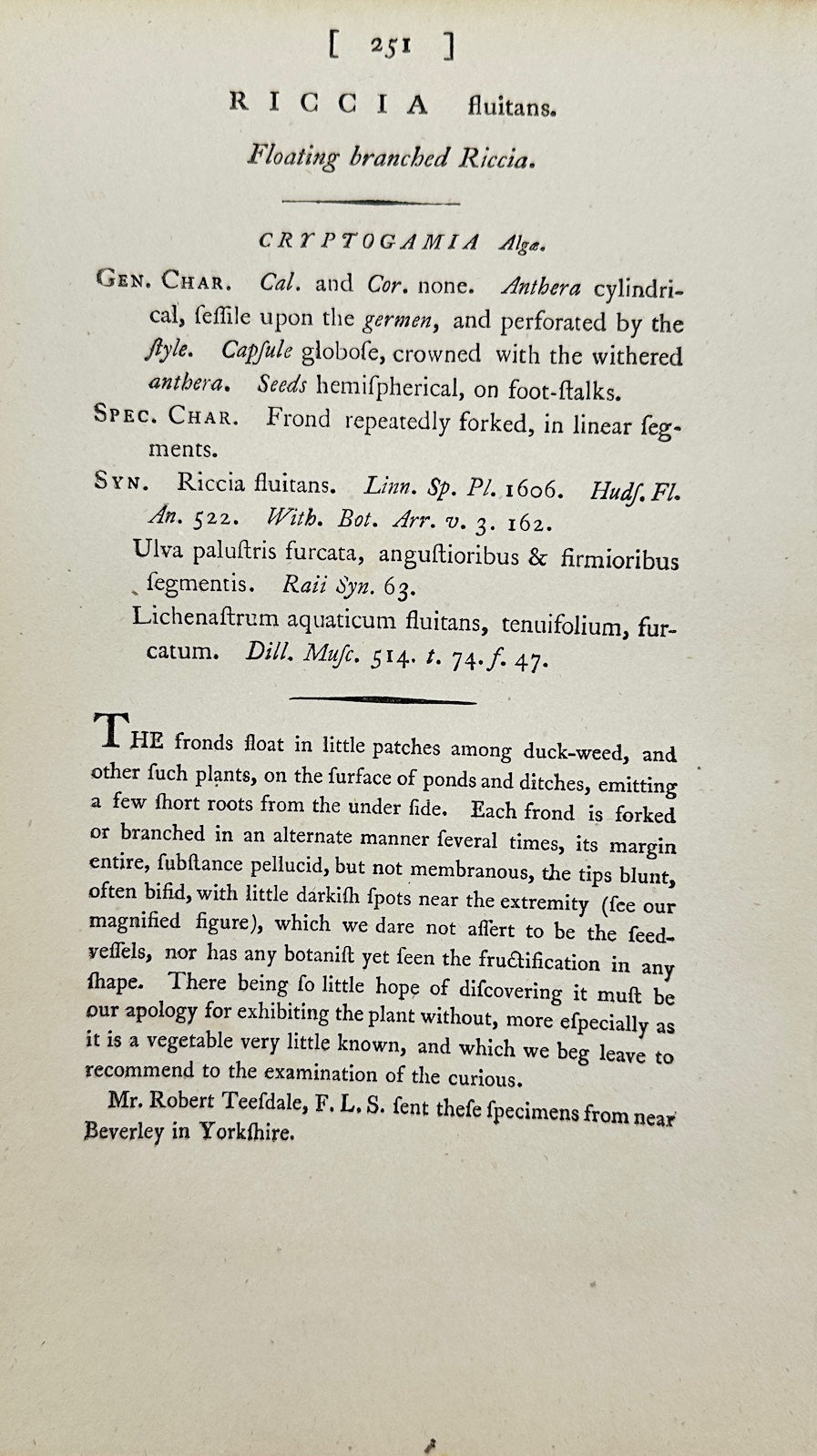 Antique Print - James Sowerby - Ricciocarpus Fluitans - Ricciocarpus Natans - F1