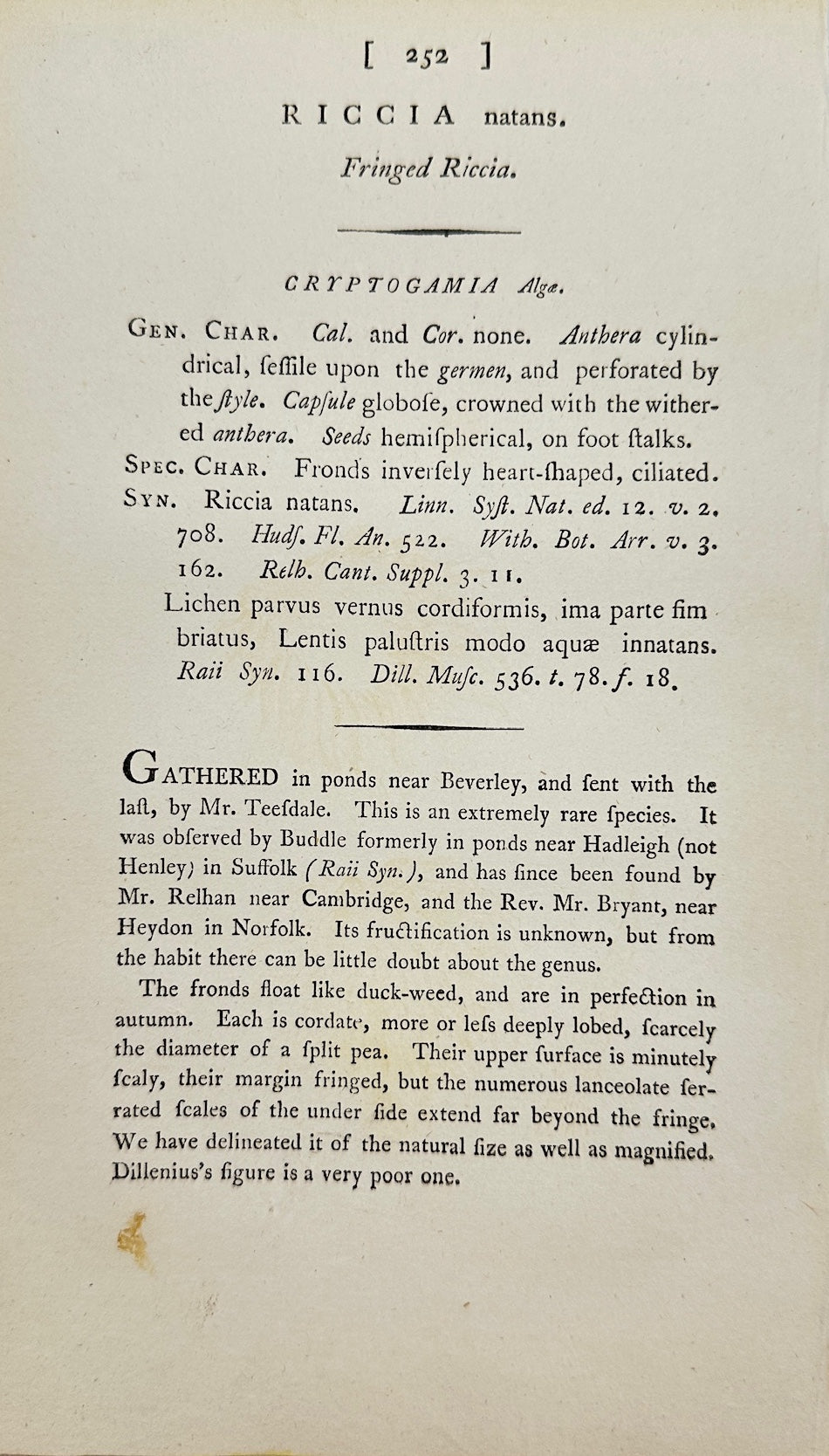 Antique Print - James Sowerby - Riccia Natans - Floating Crystalwort - F1