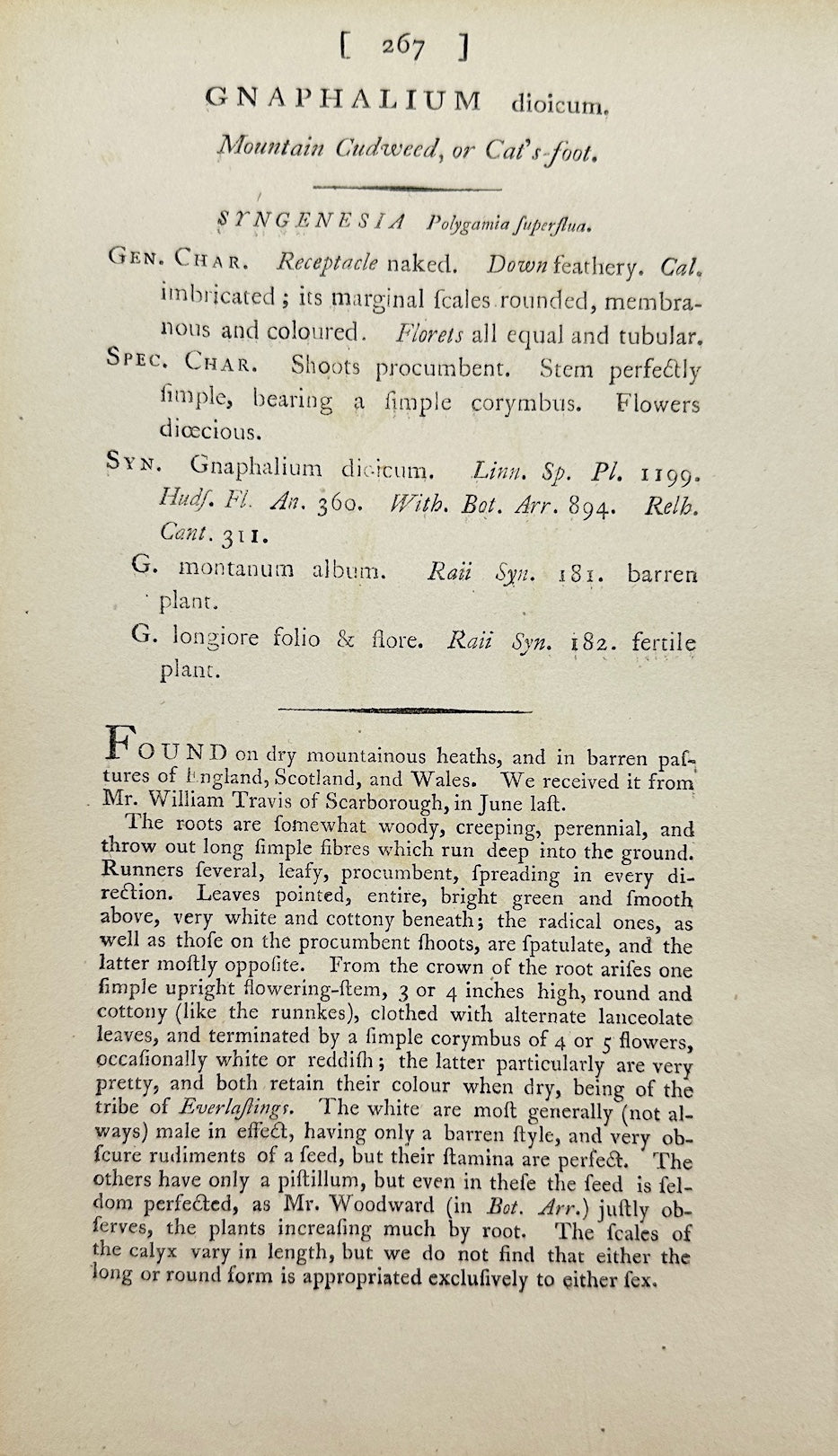 Antique Print - James Sowerby - Gnaphalium Dioicum - One-seeded Cudweed - F1